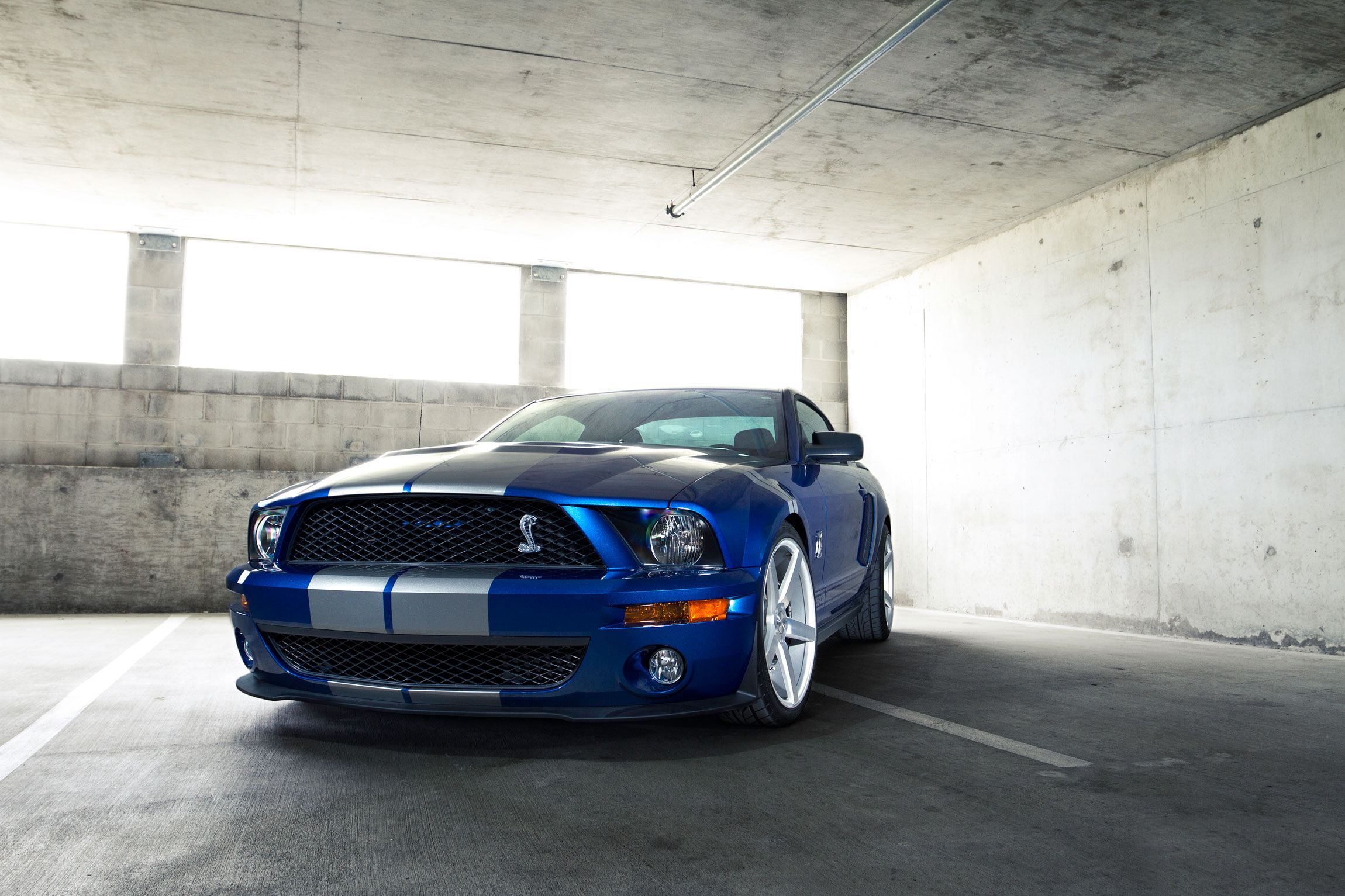 racecar, luxury, architecture, built structure, Ford, car, white stripes, coupe, rechange, cobra, land vehicle, avto, indoors, Mustang, mode of transportation, HD Wallpaper