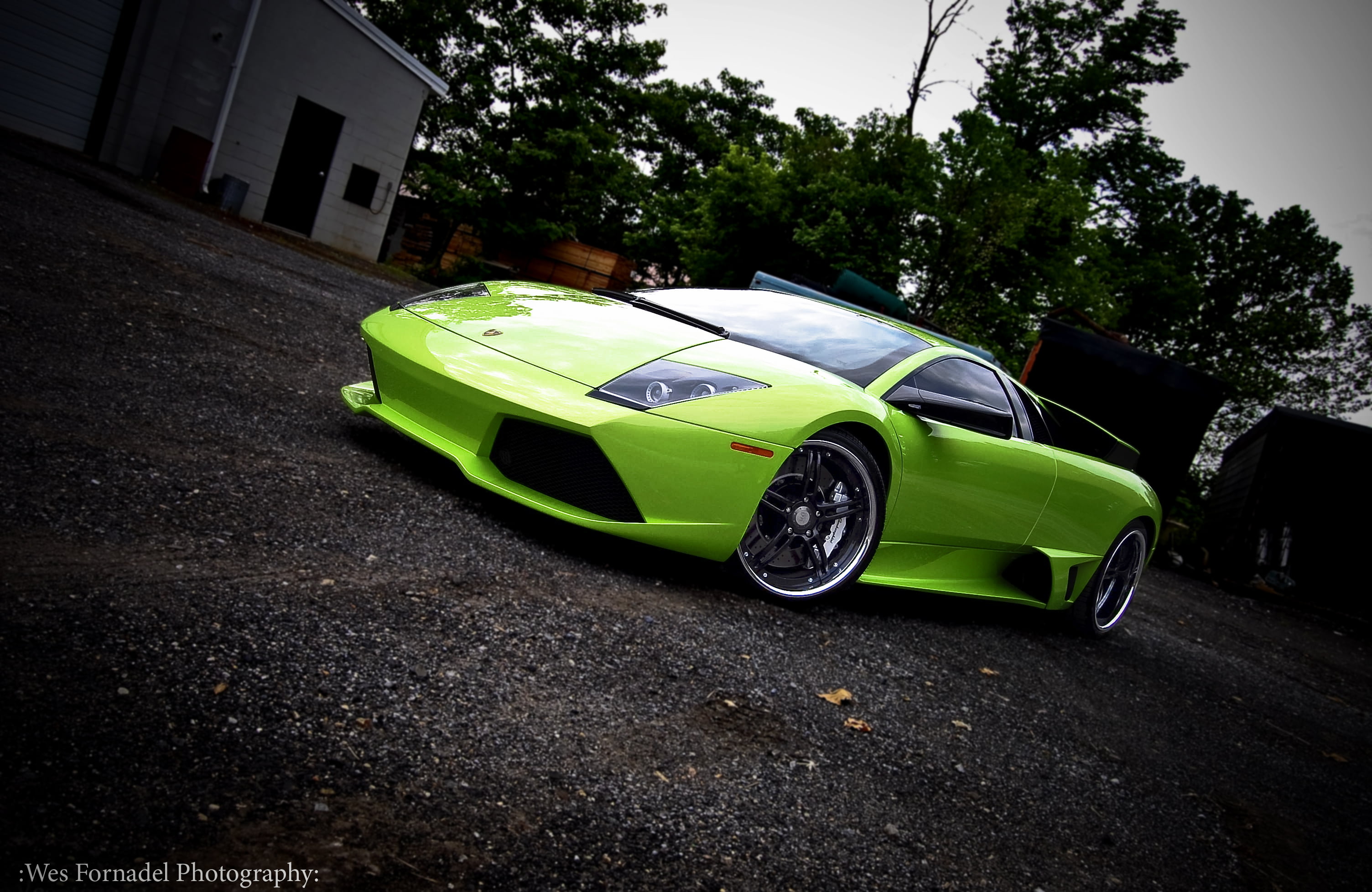 tree, alloy Wheel, city, land Vehicle, status Car, car, plant, outdoors, Miami, supercar, performance Car, architecture, driving, motor Vehicle, sports Race, HD Wallpaper