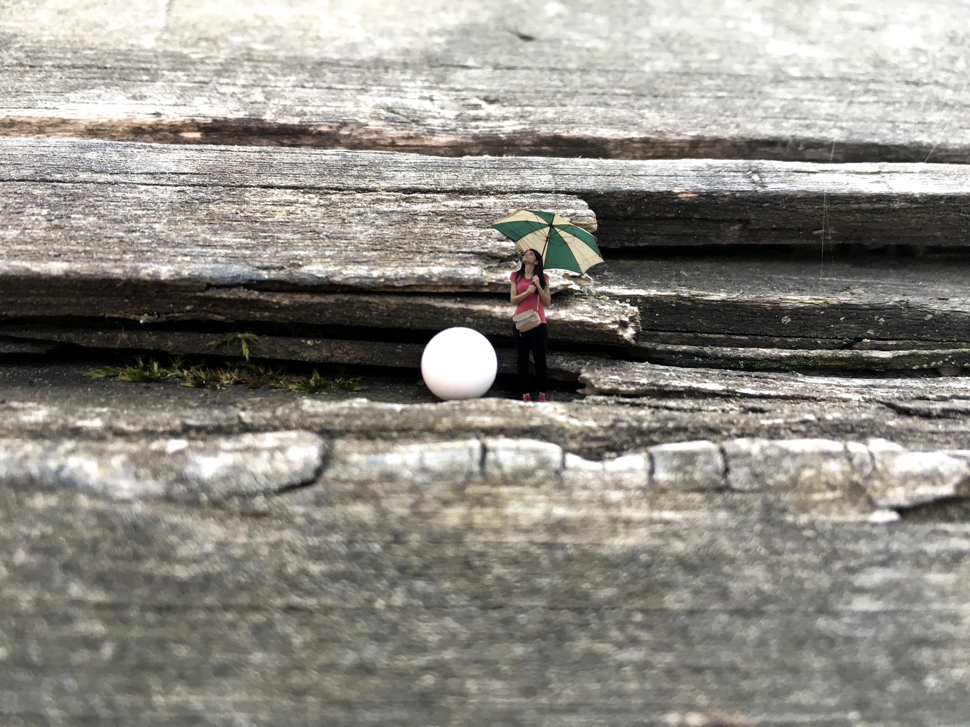 holding, ball, adult, 4K, skill, sagging, outdoors, plant, people, men, isolated color, selective focus, one man only, close-up, adults only, day, sunlight, HD Wallpaper