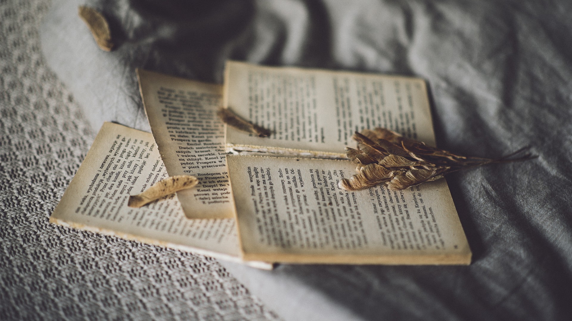 paper, close-up, 1080P, selective focus, publication, books, text, book, sheet, belief, depth of field, indoors, spirituality, communication, animal, no people, HD Wallpaper