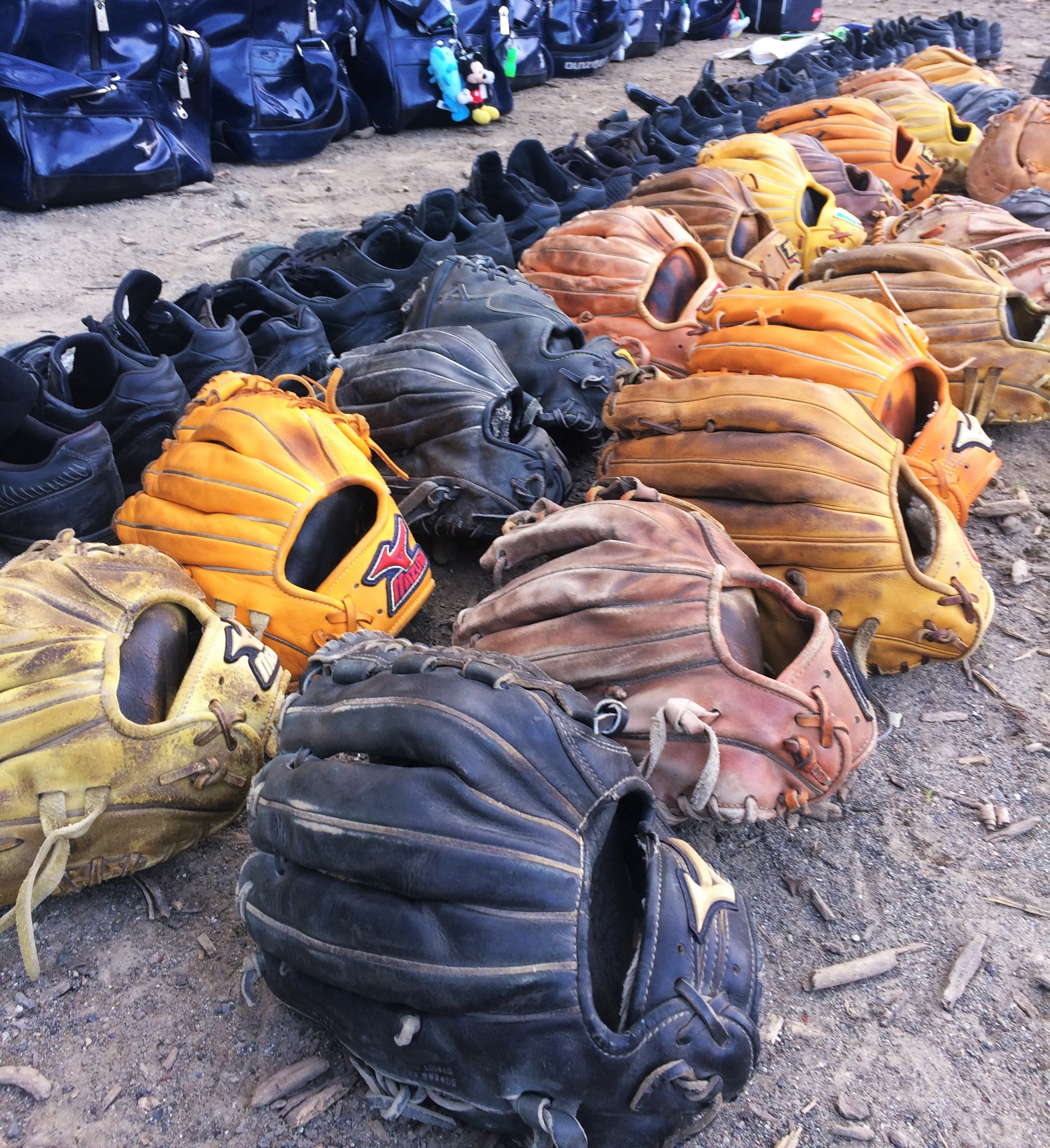 shoe, 2K, abundance, land, black, field, goldenrod, baseball, mitt, beach, spike, outdoors, baseball game, otsu sports park, no people, shoes, nature, Phone HD Wallpaper