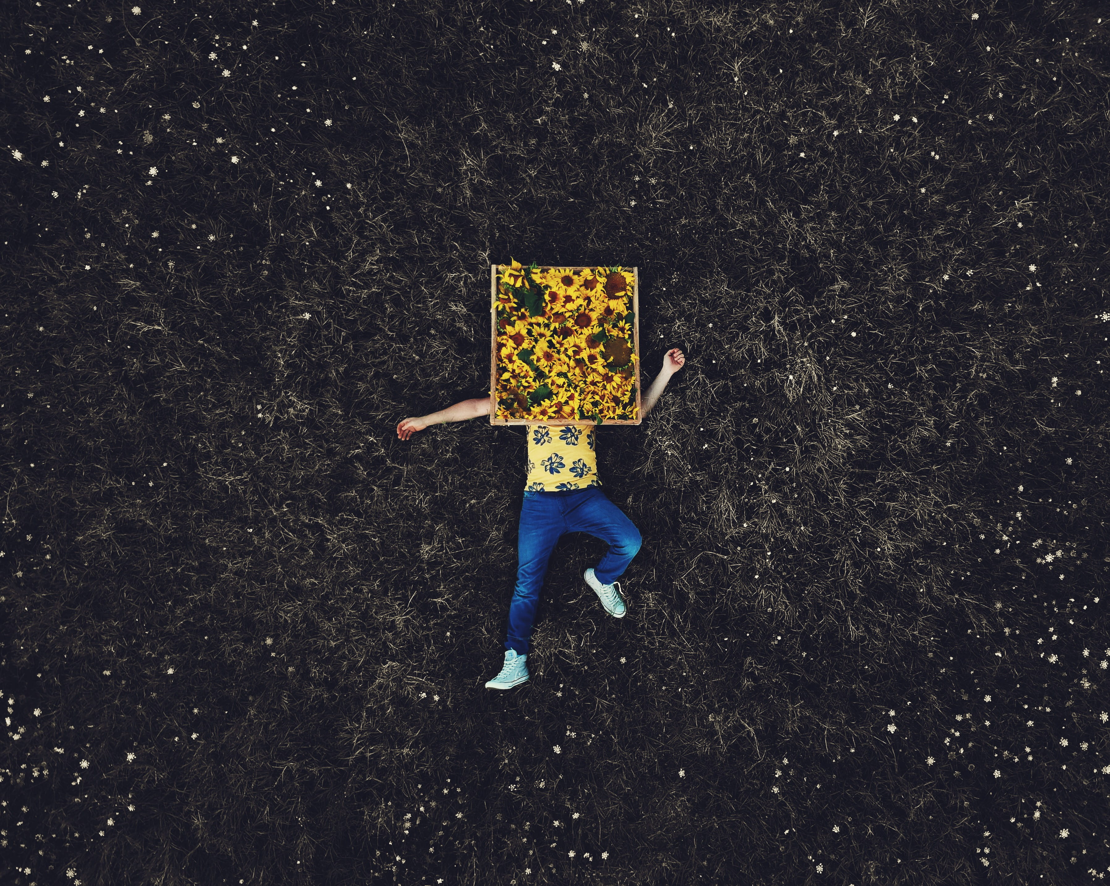 art, backgrounds, laying down, dark, wildflower, people, aerial, symbol, sunflower, yellow, drone, grass, lying down, bob, green, conceptual, picture, illustration, HD Wallpaper