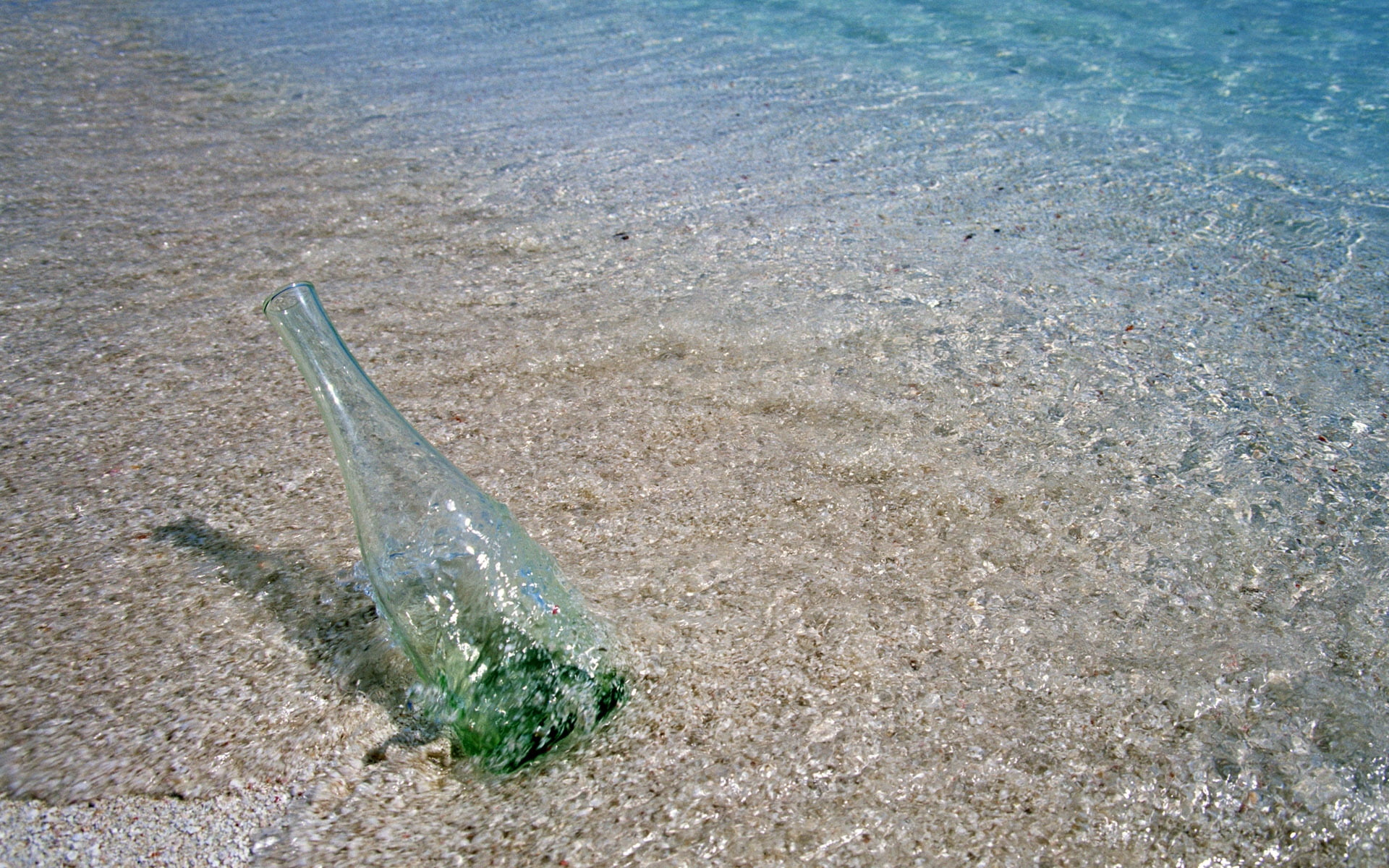 message, pollution, beach, bottle, glass, marine, day, clear, tranquility, beauty in nature, protected, animal, wet, land, vertebrate, sea, water, liquid, HD Wallpaper