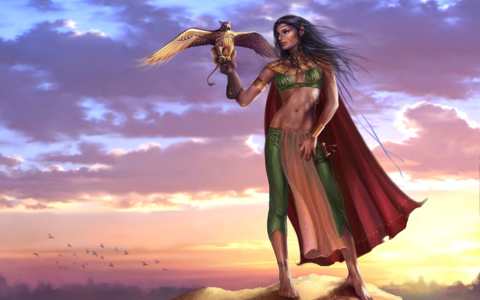 rock, girl, long, griffin, mythical, clouds, birds, sky, weapon, art, 720P, sunset, creature, hair, cool, fantasy, top, cloak, elf, sword, HD Wallpaper
