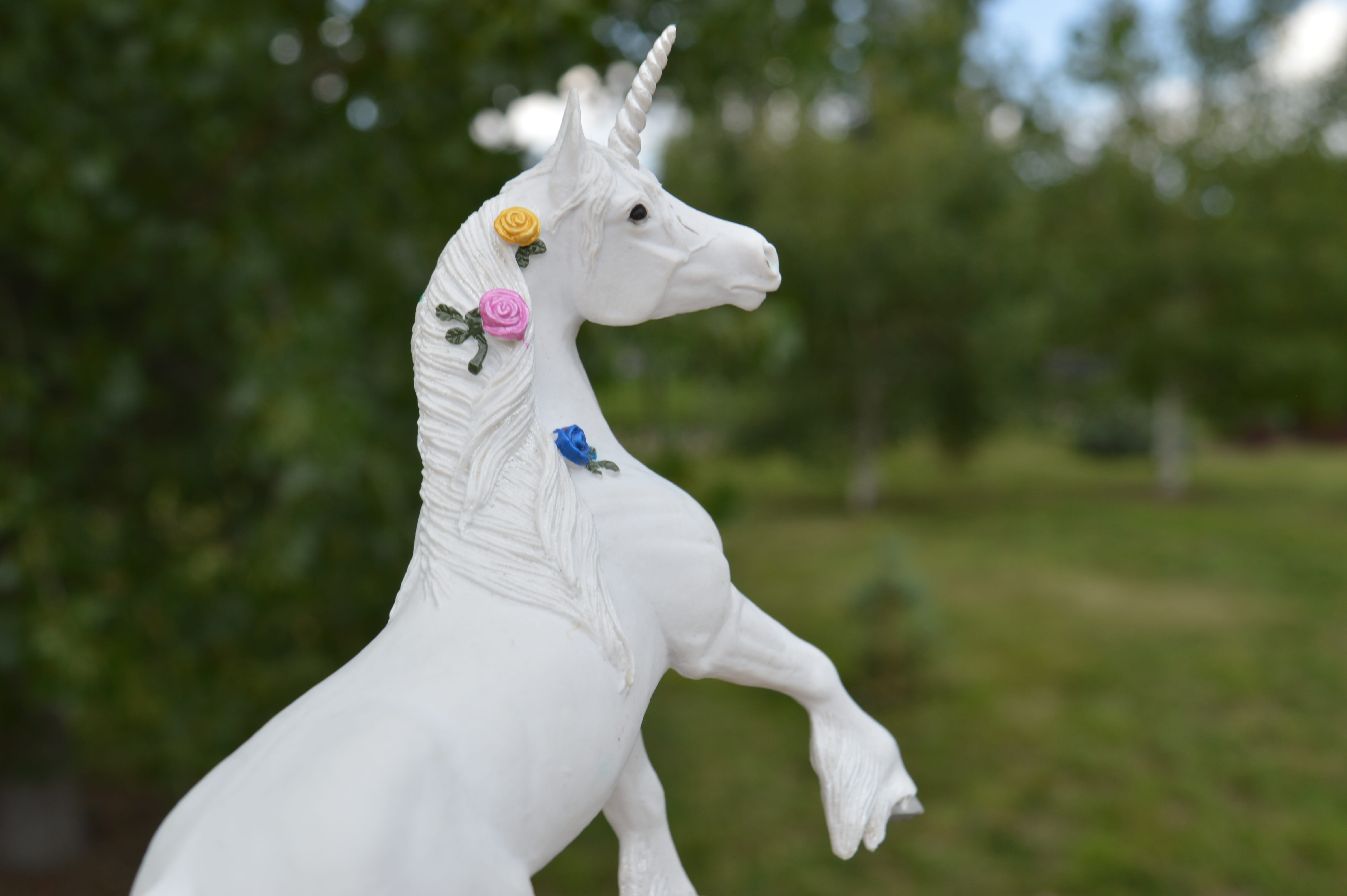 no people, day, photo, animal wildlife, Unicorn, outdoors, herbivorous, animal themes, pets, focus on foreground, horn animal, white color, one animal, HD Wallpaper