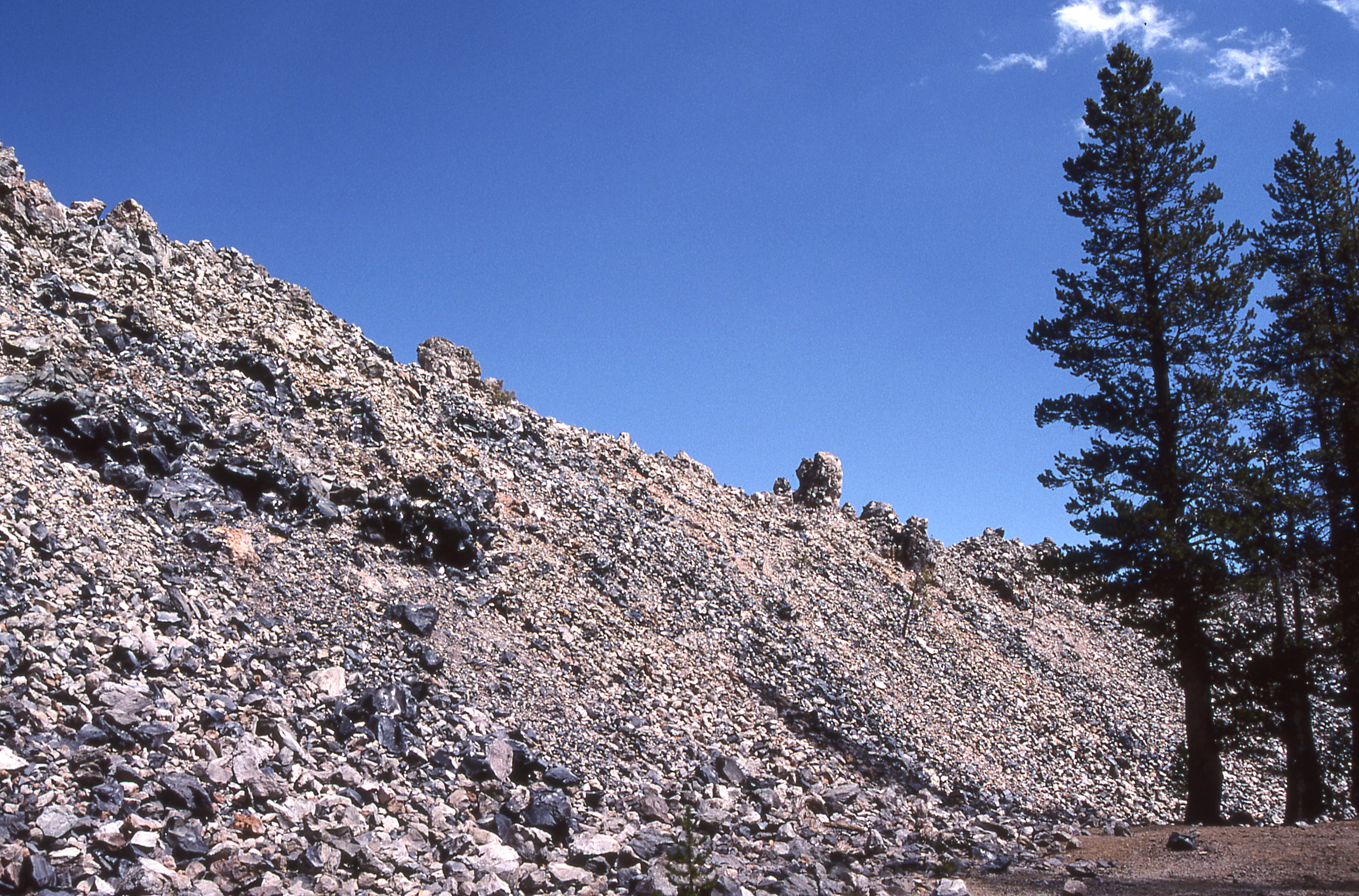 tree, nature, landscape, scenics - nature, beauty in nature, pine tree, plant, low angle view, glass mountain, land, california, solid, environment, mountain, HD Wallpaper