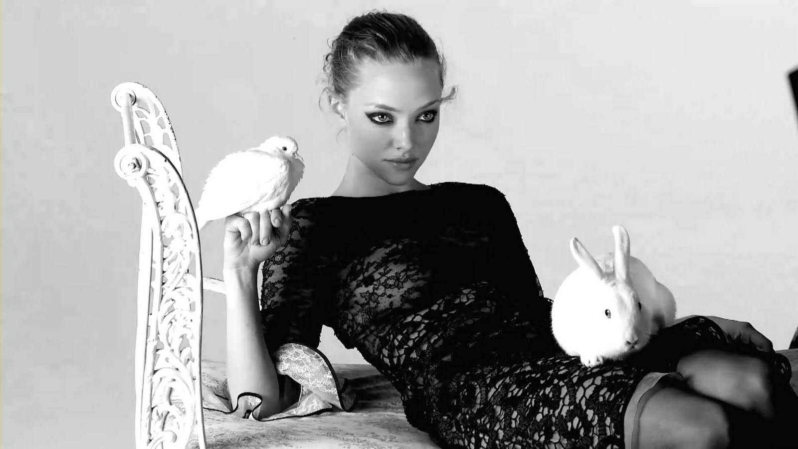720P, animals, x, lying, seyfried, hd, birds, bunnies, art, monochrome, women, amanda, HD Wallpaper