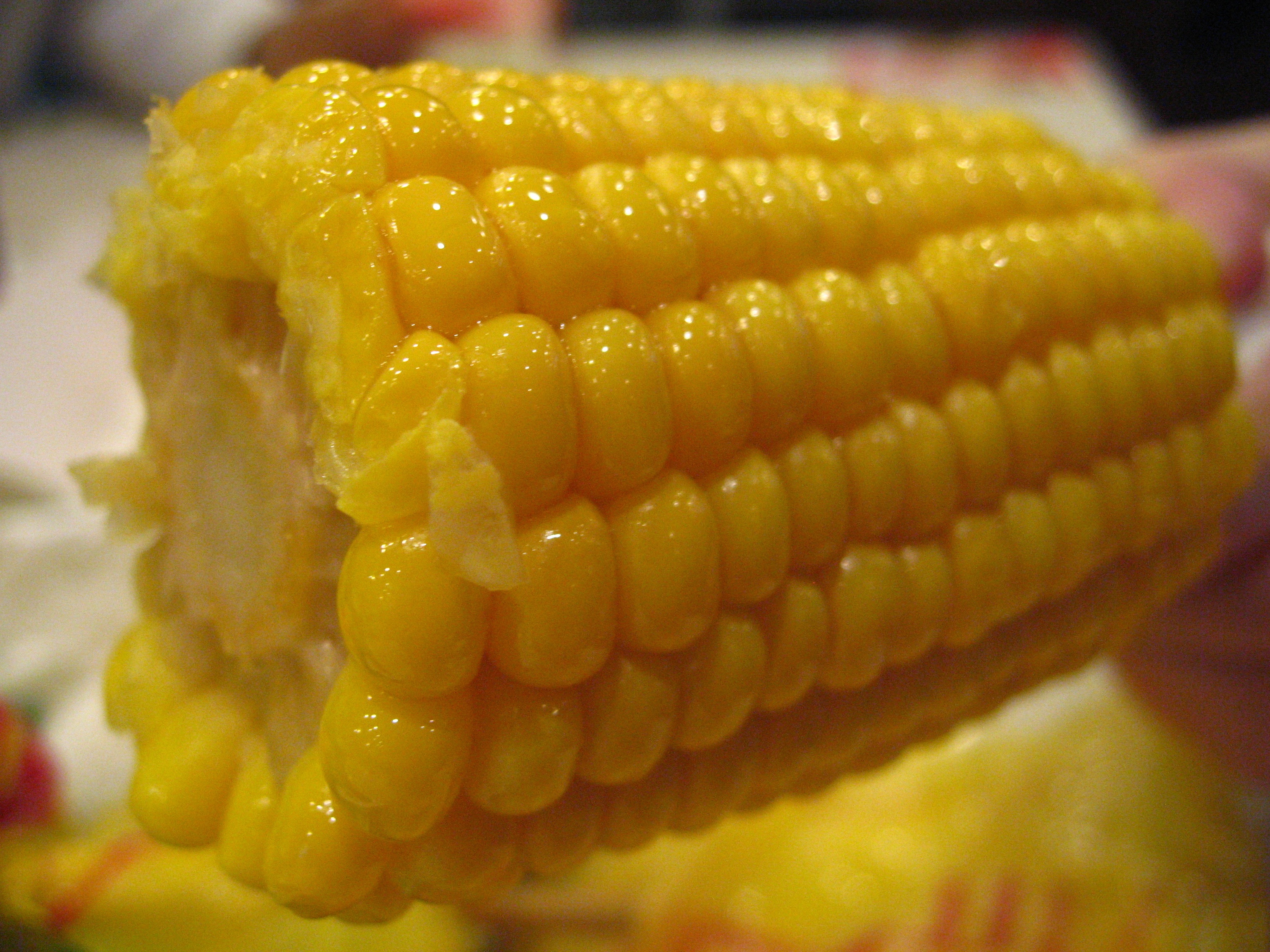 close-up, still life, comfort food, selective focus, freshness, food, indulgence, sweetcorn, yellow, kfc corn, healthy eating, ready-to-eat, wellbeing, HD Wallpaper