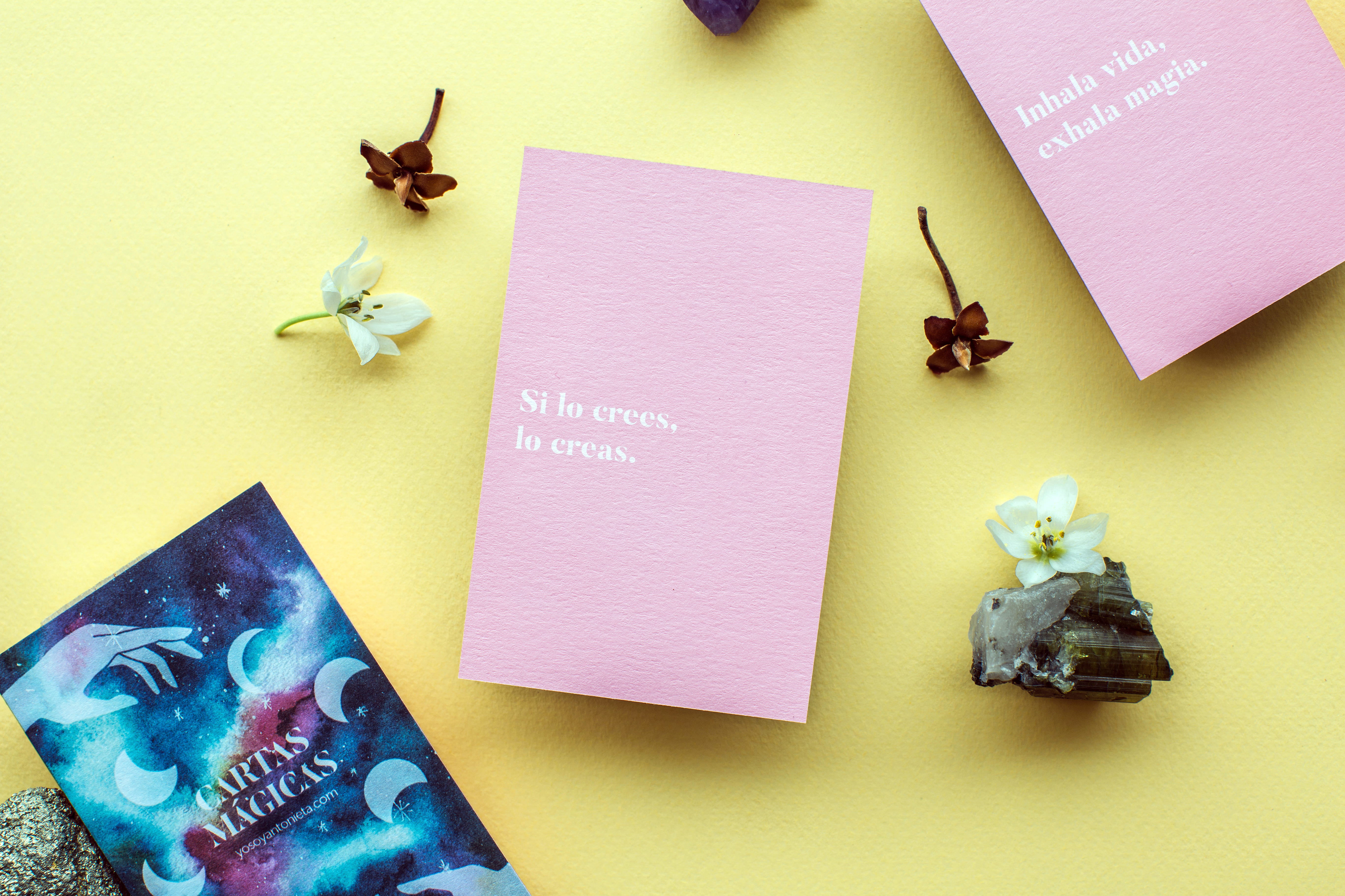 books, table, wisdom, creativity, yellow, insect, solid pink, holiday, art and craft, quote, invertebrate, magic, text, close-up, book, 5K, assorted, three, HD Wallpaper