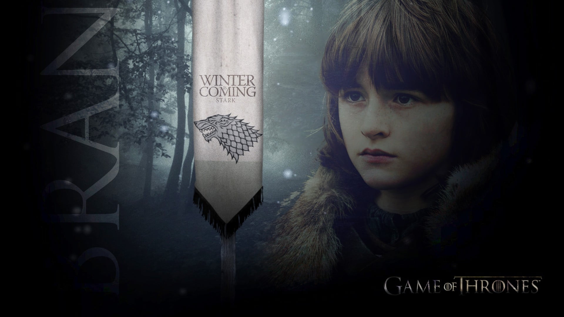 brown eyes, portrait, front view, one person, western script, indoors, warm clothing, text, headshot, Game of Thrones, game, Brandon Stark, adult, bangs, HD Wallpaper