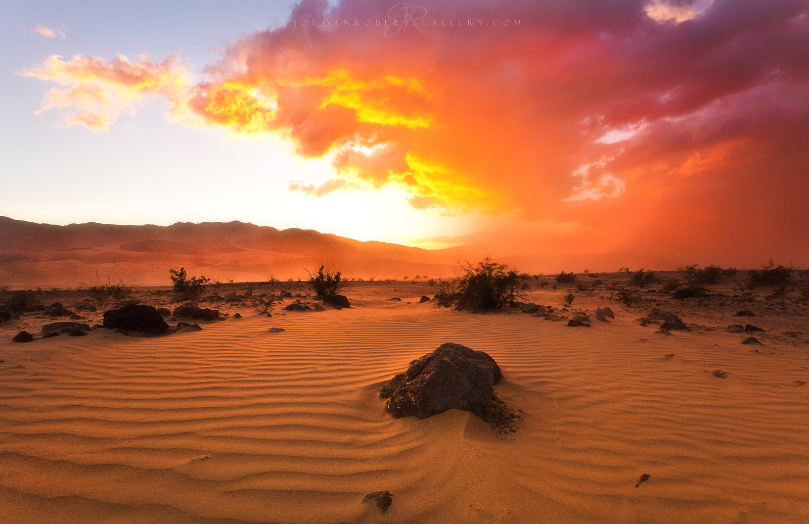 no people, climate, sand, tree, lake, sky, beauty in nature, 720P, insect, sunset, arid climate, land, environment, non-urban scene, scenics - nature, HD Wallpaper