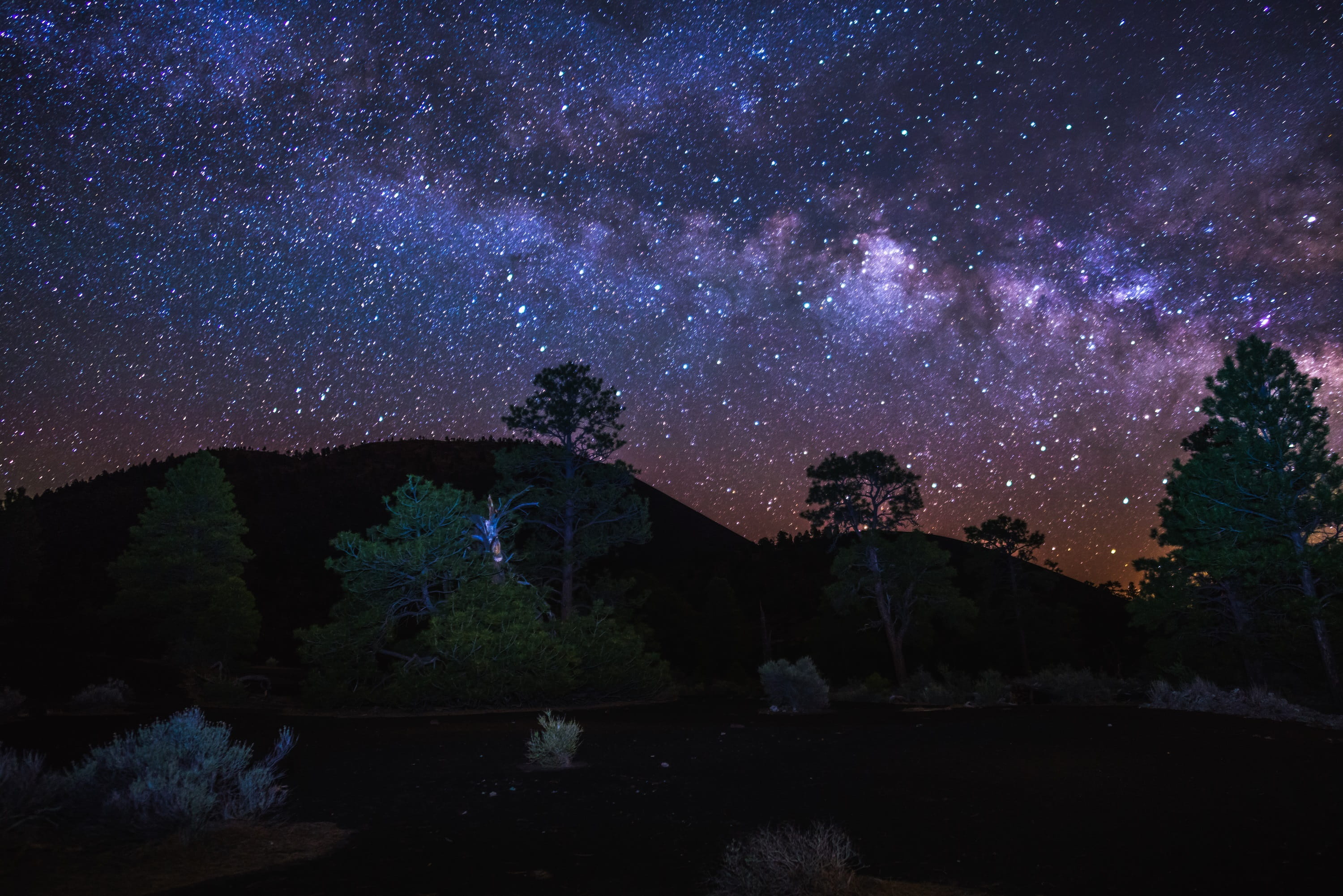 tranquil scene, star - space, astronomy, trees, scenic, sky, galaxy, 2K, usa, trail, landscape, flow, purple, arizona, growth, national forest, national monument, HD Wallpaper