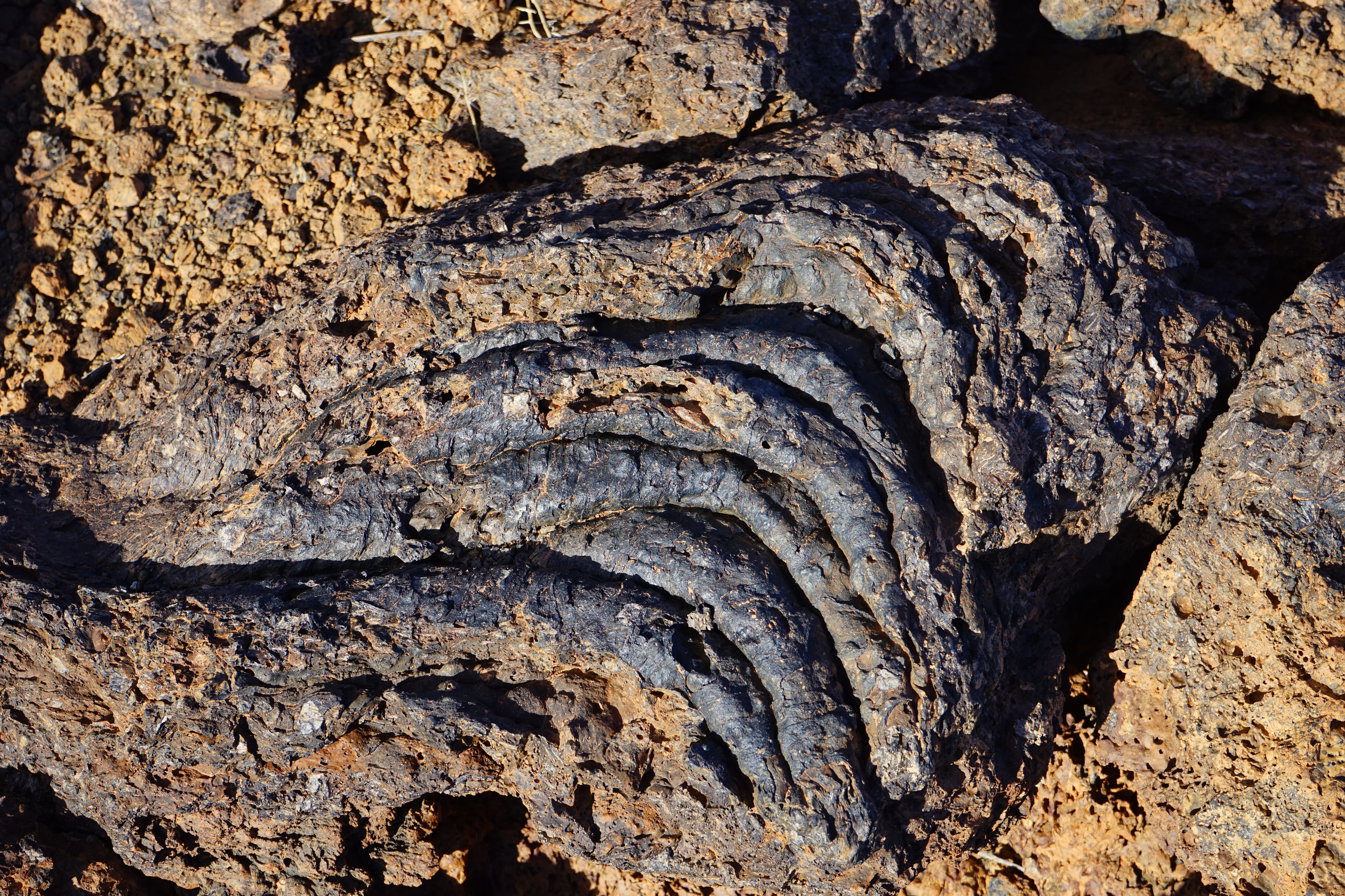 outdoors, Lava, day, bark, textured, Lava Flow, ancient, geology, natural pattern, close-up, rock, lava, rough, 5K, nature, sunlight, eroded, Basalt, wavy, HD Wallpaper