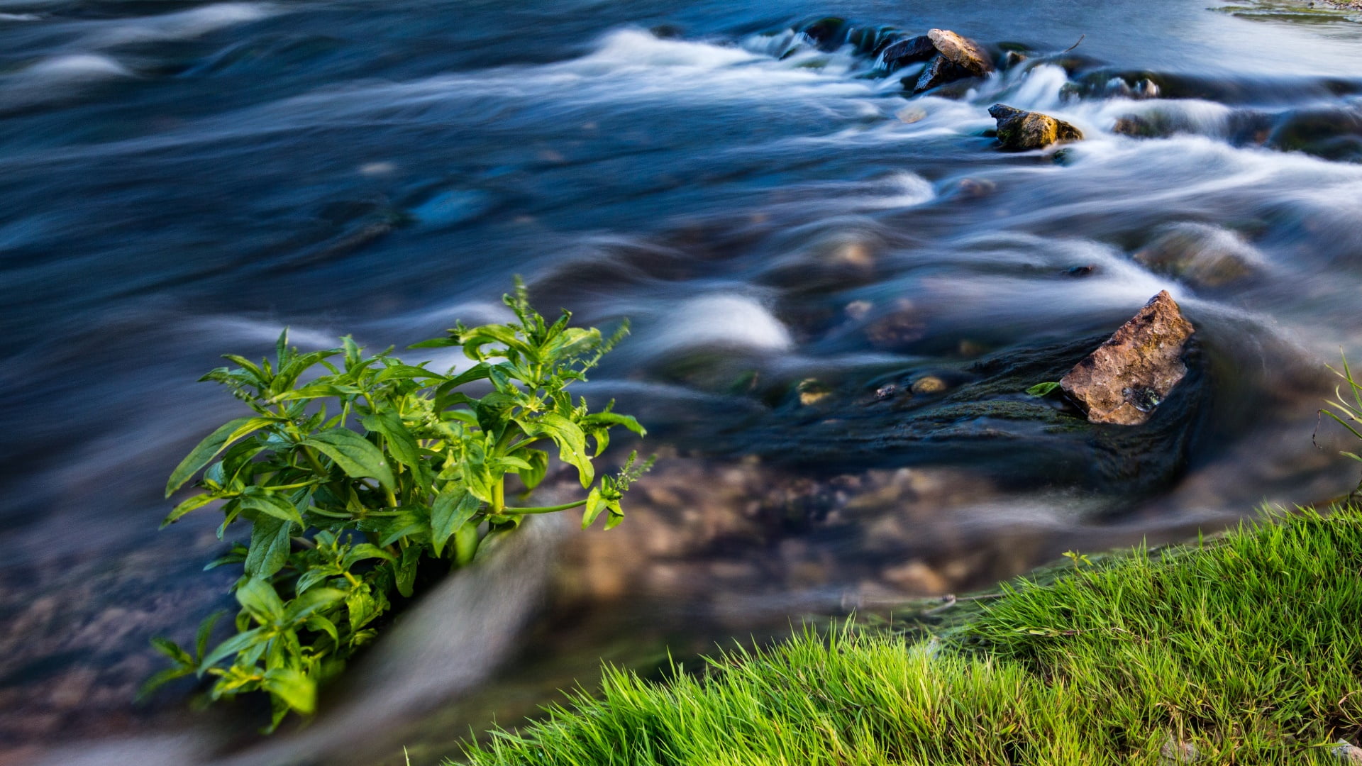 bank, grass, long exposure, body of water, nature, beauty in nature, day, flowing water, blurred motion, green color, flowing, land, motion, outdoors, creek, HD Wallpaper