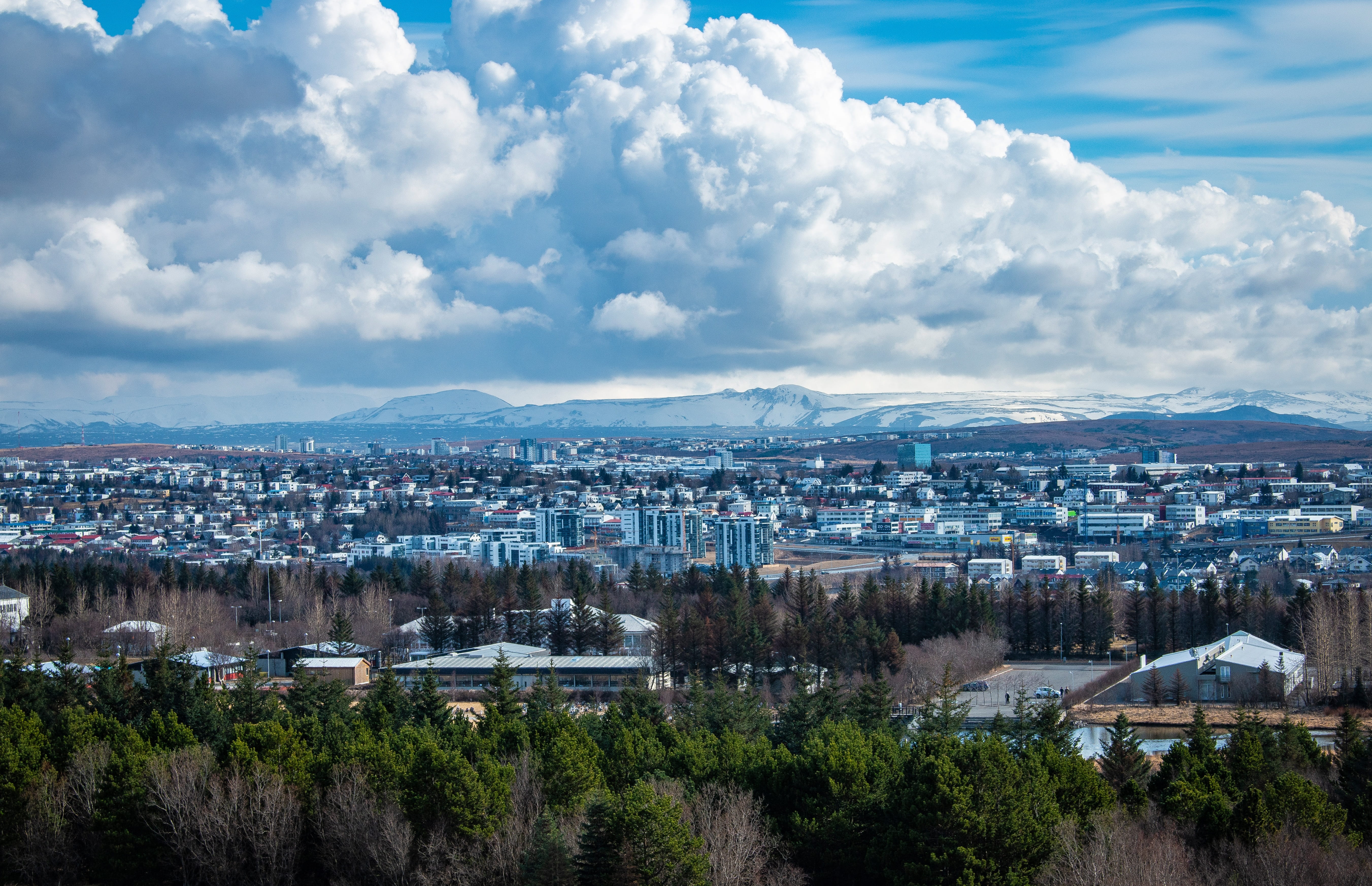 day, 5K, high angle view, tree, tourism, landscape, urban, clouds, museum, building exterior, cityscape, view, building, iceland, reykjavik, no people, HD Wallpaper
