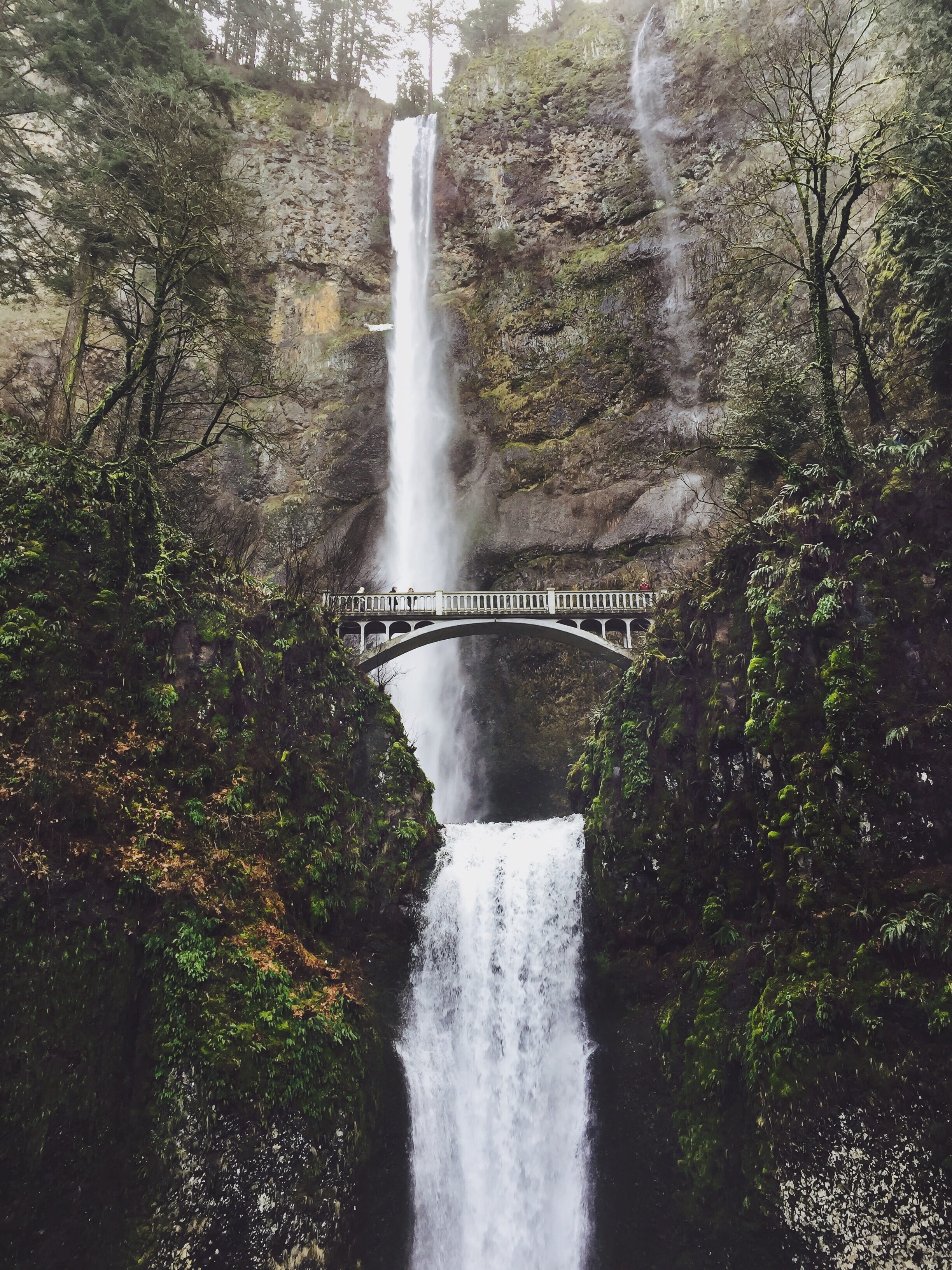 misty, multnomah, flowing, no people, scenics - nature, built structure, beauty in nature, pnw, nature, power in nature, motion, fog, arch, plant, arched, Phone HD Wallpaper