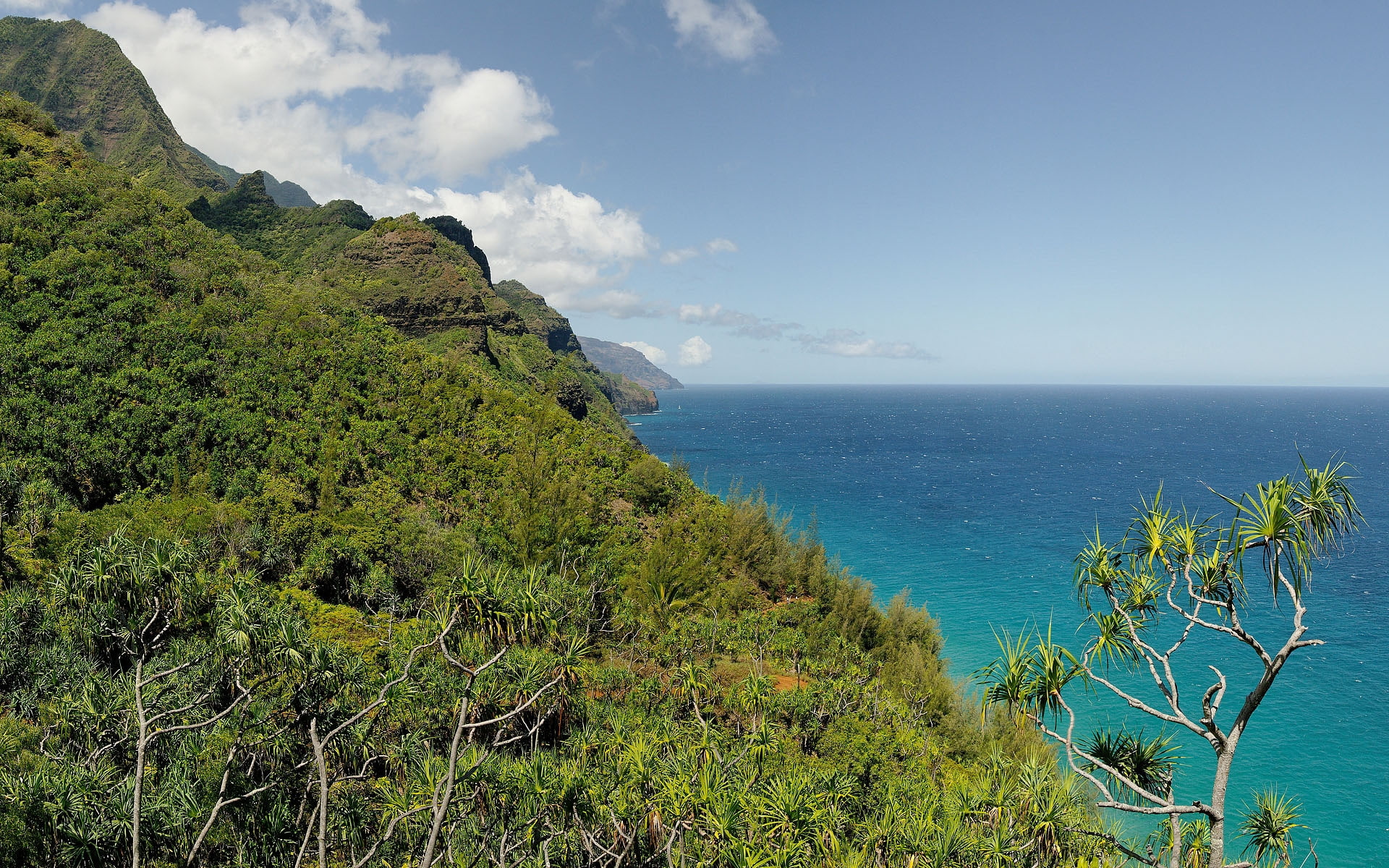 1080P, green, pali, hiking, na, sea, trees, HD Wallpaper