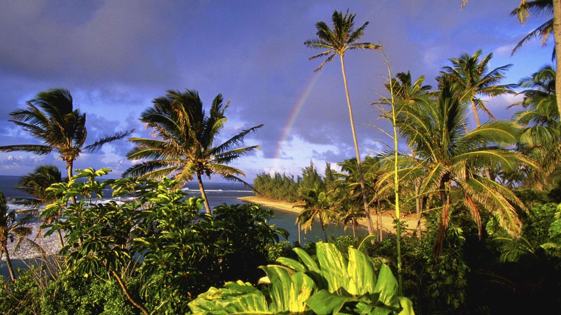 kauai, hawaii, beaches, 1080P, parks, HD Wallpaper
