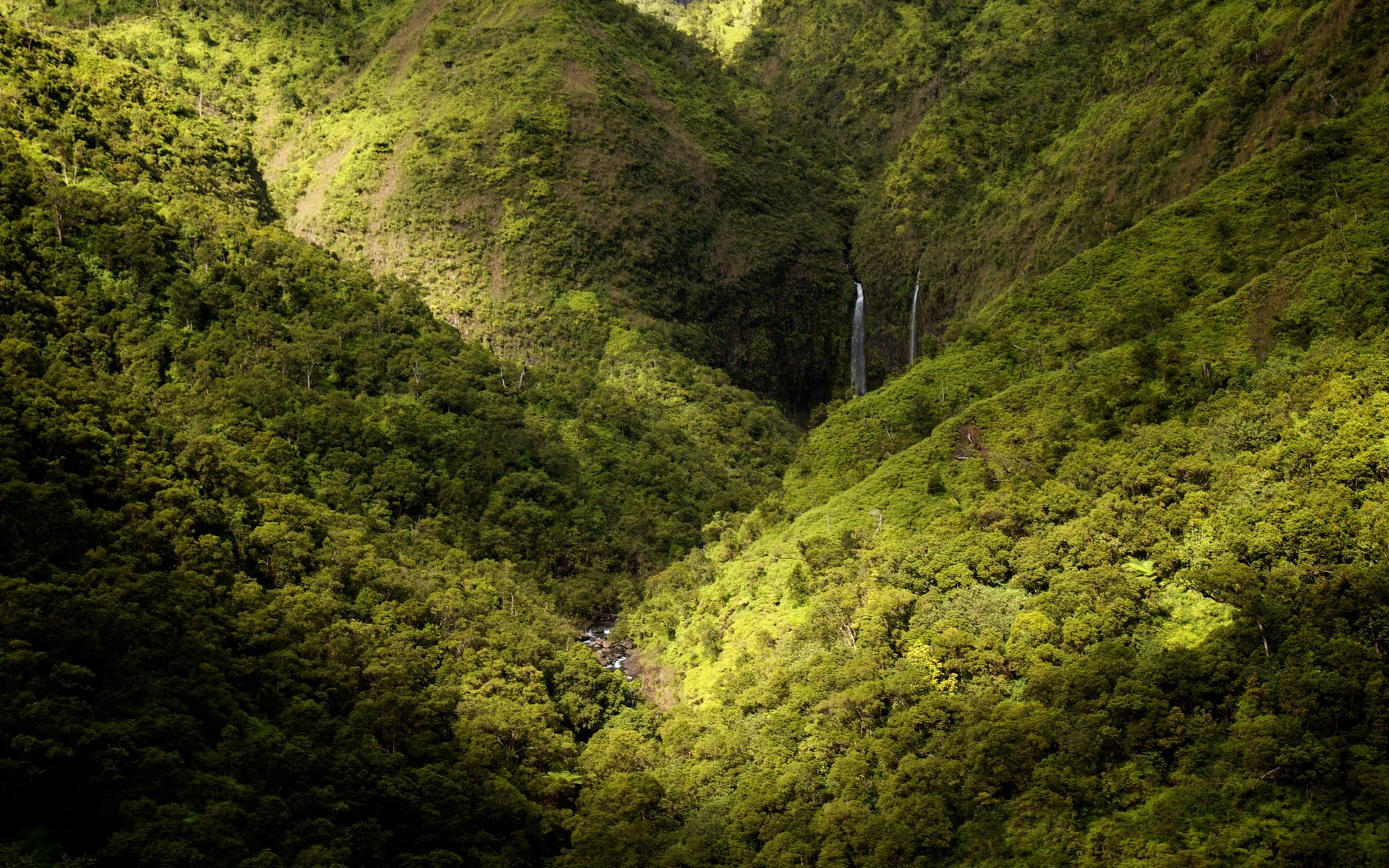 spring, mountains, nature, waterfall, Kauai, landscape, green, 1080P, forest, HD Wallpaper