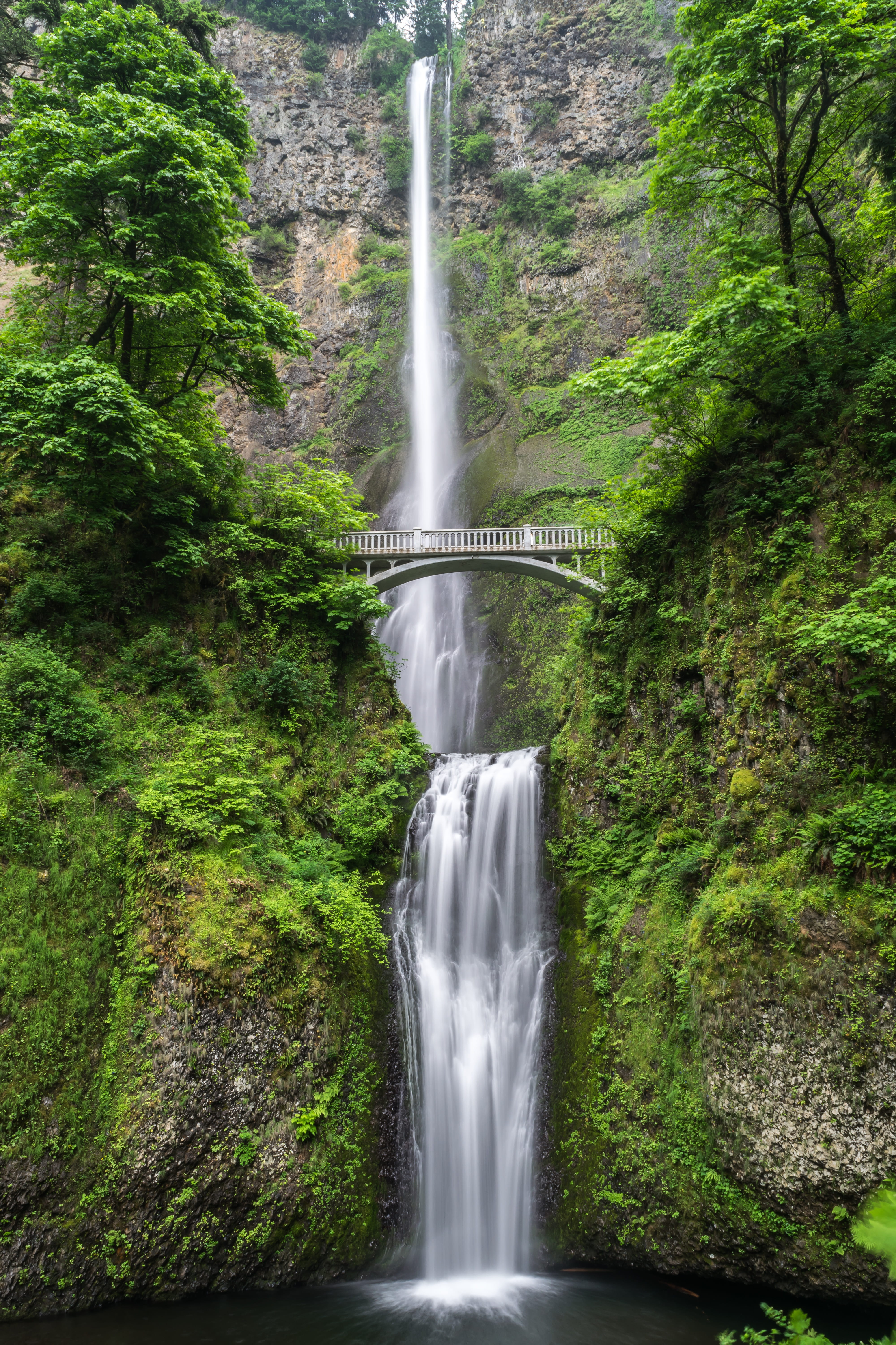 environment, waterfall, tree, beauty in nature, falling water, plant, outdoors, no people, rainforest, long exposure, scenics - nature, green, 5K, blurred motion, Phone HD Wallpaper
