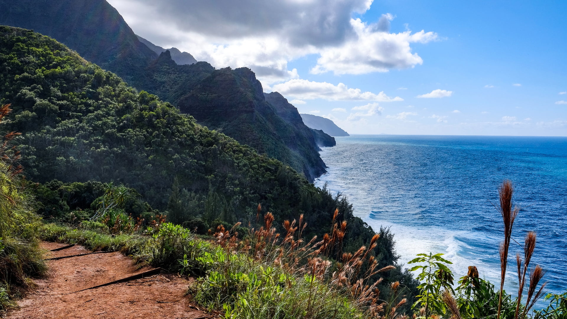 landscape, Hawaii, trees, forest, 1080P, horizon, nature, grass, water, clouds, dirt road, Kauai, plants, sky, HD Wallpaper