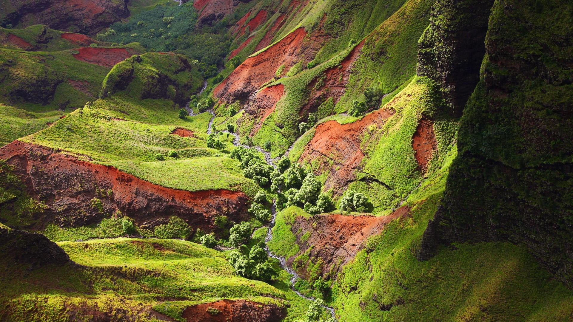 scenics - nature, plant, wilderness, hawaii, landscape, hill, green, growth, non-urban scene, no people, land, outdoors, nature, tree, united states, geology, HD Wallpaper