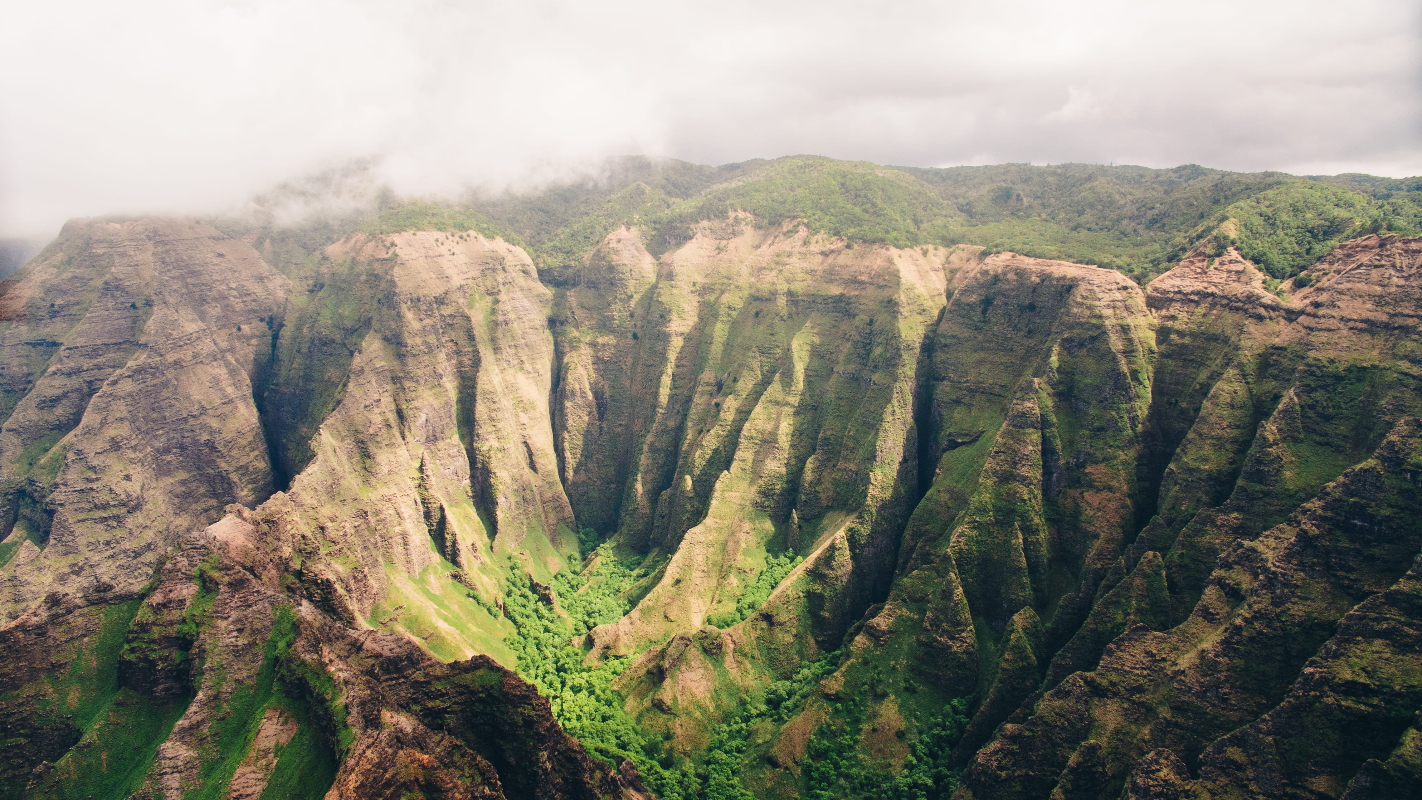 day, beauty in nature, cloud - sky, non-urban scene, no people, united states, nature, tranquil scene, tropical, plant, fog, kauai, mountain, outdoors, HD Wallpaper