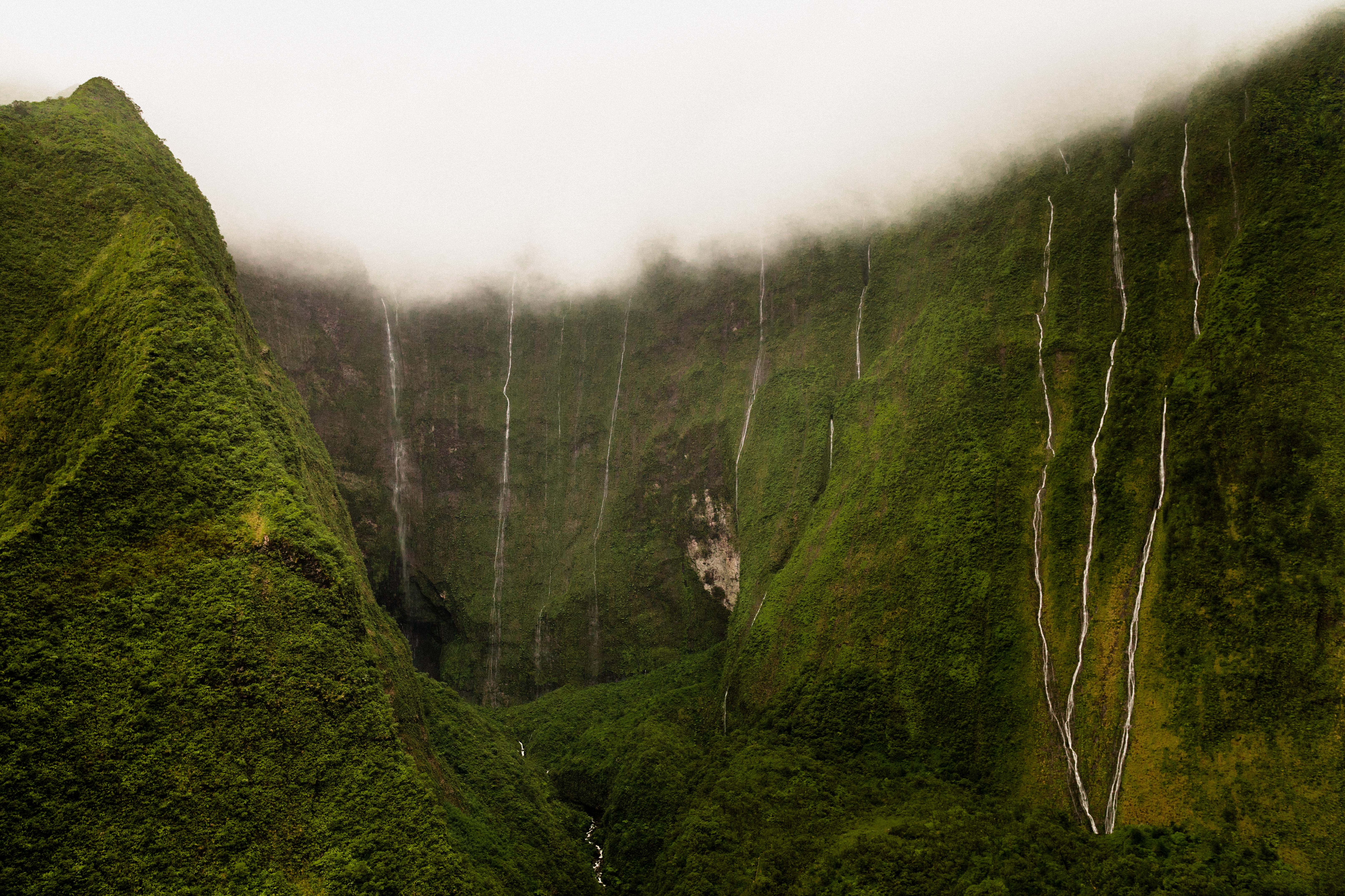 beauty in nature, non-urban scene, fixed, rainforest, canyon, waterfall, mountain, waimea, scenics - nature, 5K, idyllic, rock, covered, fog, waimea canyon, HD Wallpaper