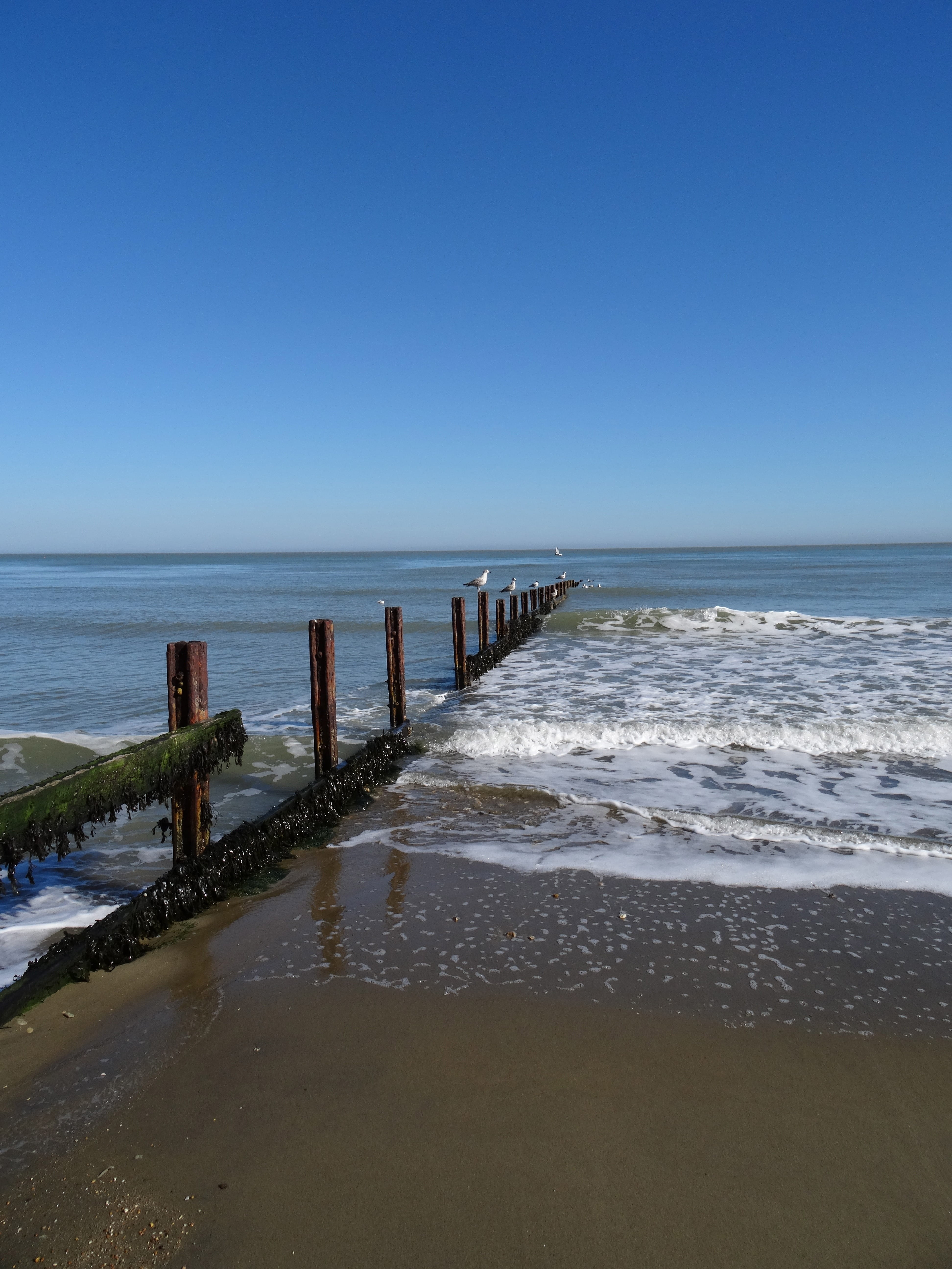 Beach, groyne, copy space, waves, Isle Of Wight, land, water, shanklin beach, horizon over water, 5K, scenics - nature, motion, sand, beauty in nature, Phone HD Wallpaper