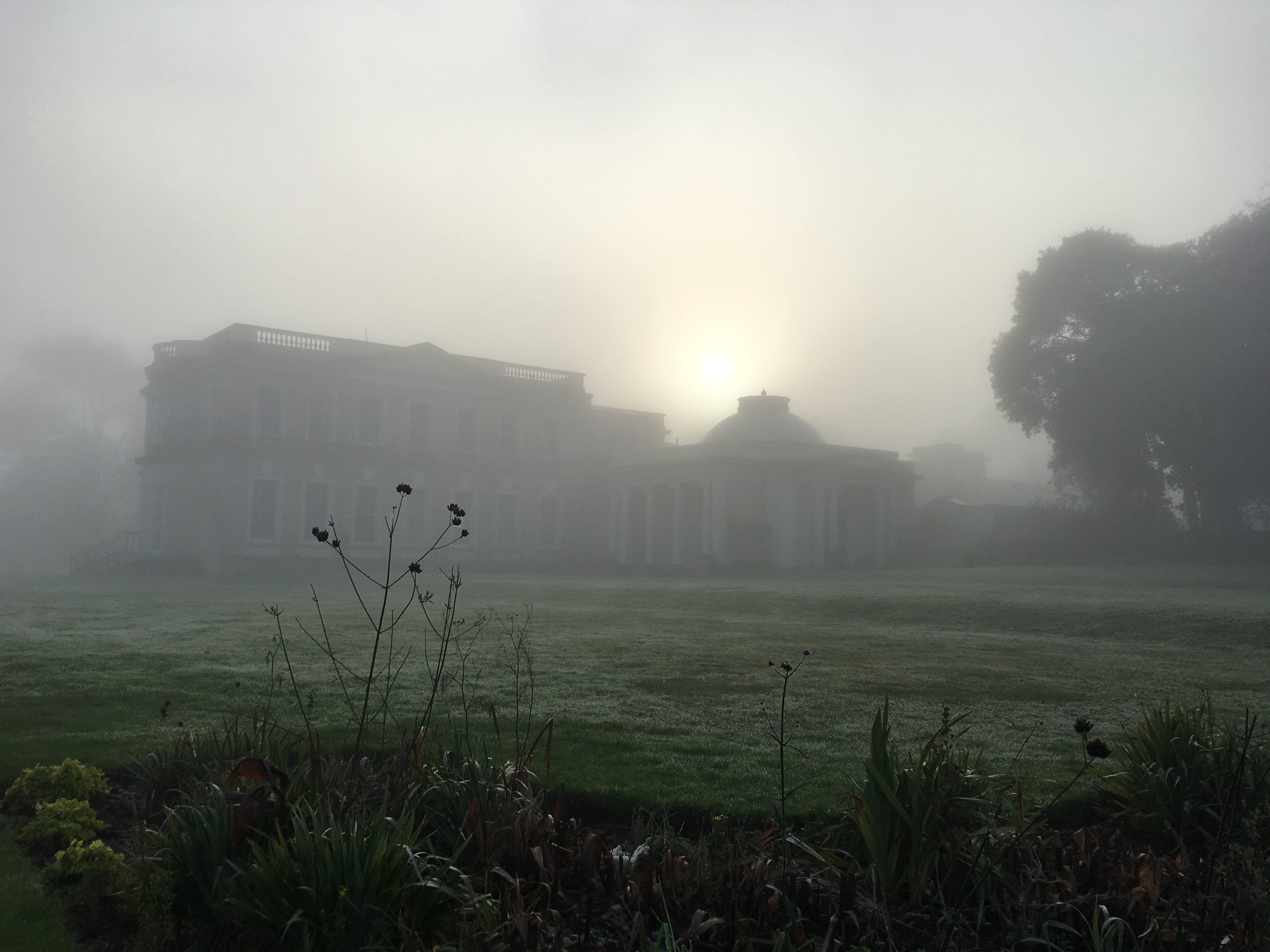 fog, united kingdom, tree, outdoors, environment, land, architecture, isle of wight, sky, the past, building, built structure, no people, field, 4K, nature, HD Wallpaper
