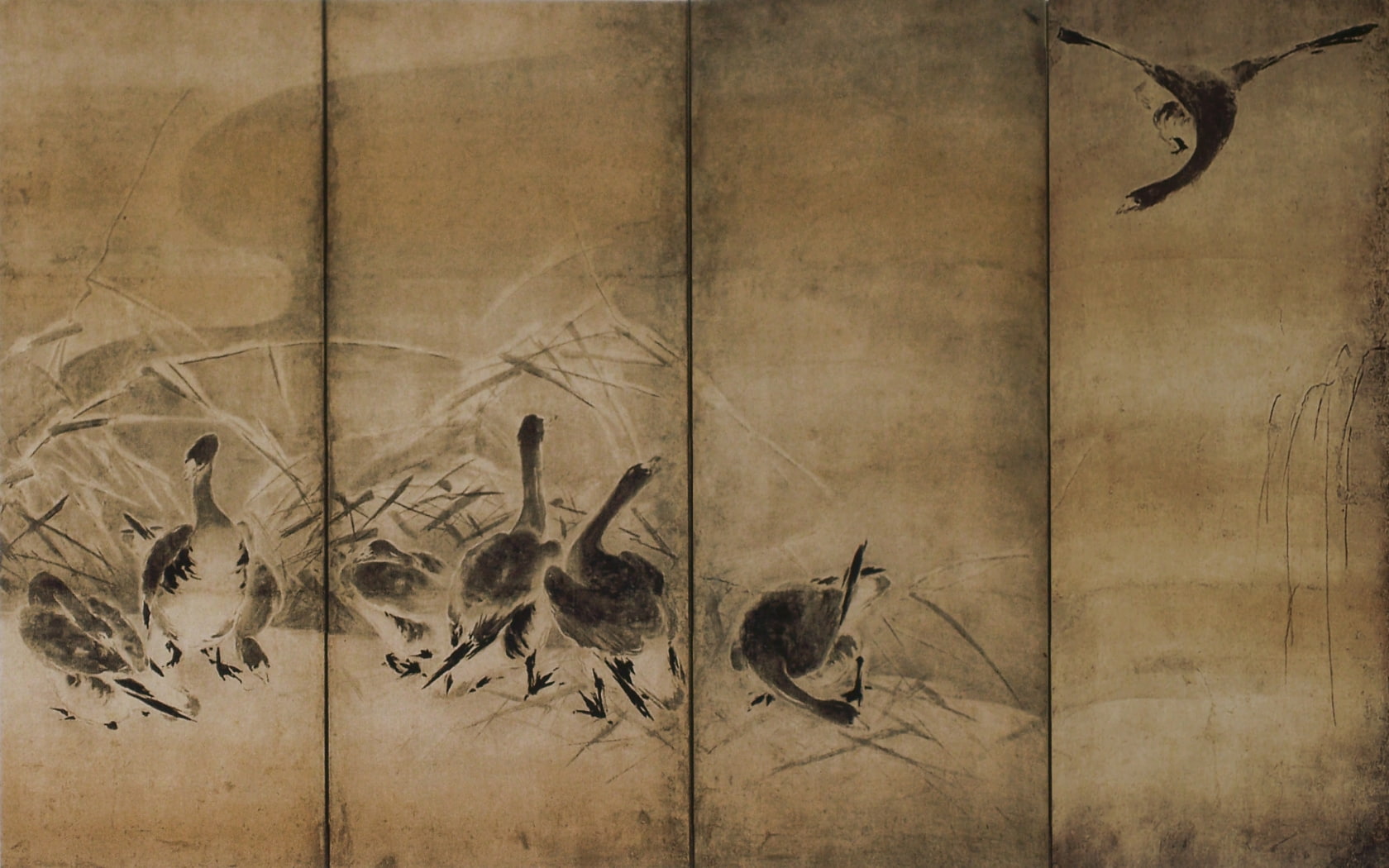 ducks, x, animals, favs, hd, art, 720P, one, HD Wallpaper