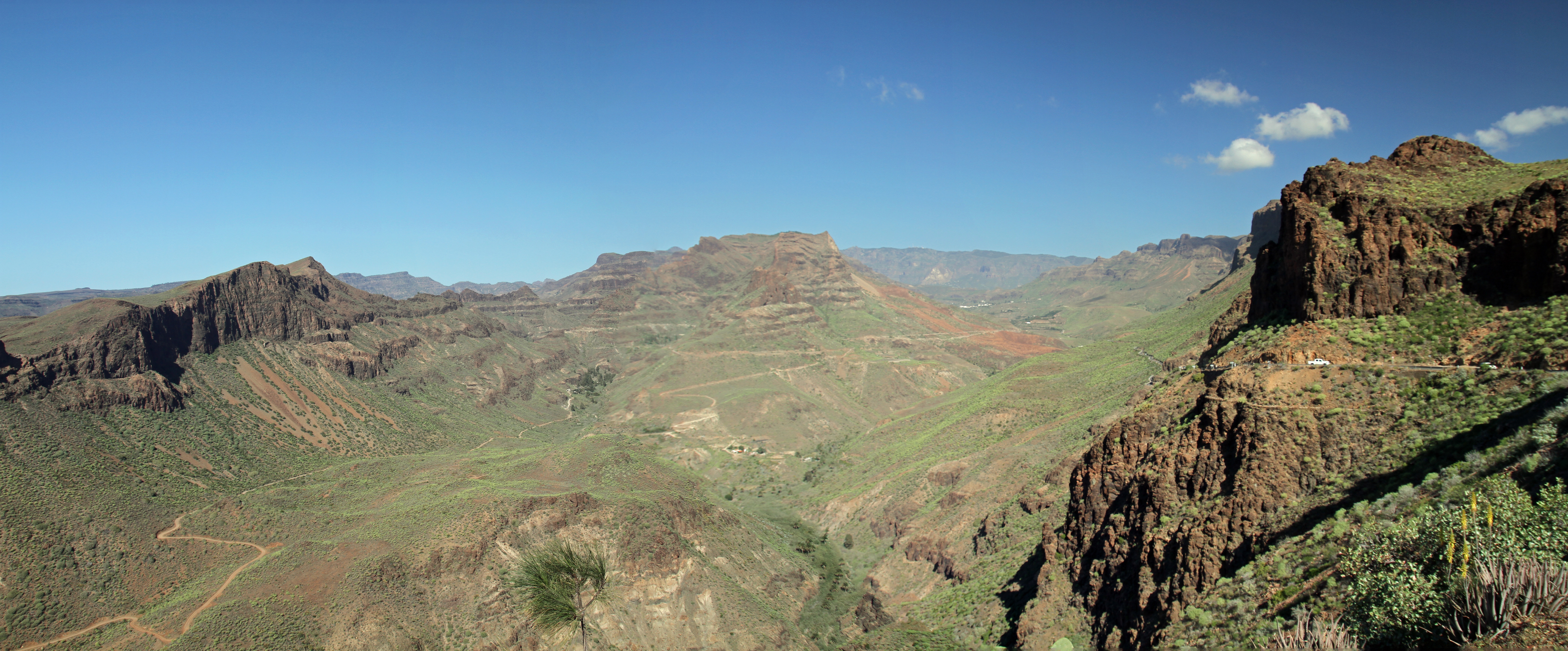plant, travel, tourism, outdoors, islands, canary, sky, travel destinations, tranquility, scenics - nature, 8K, tree, canaria, panoramic, blue, no people, HD Wallpaper