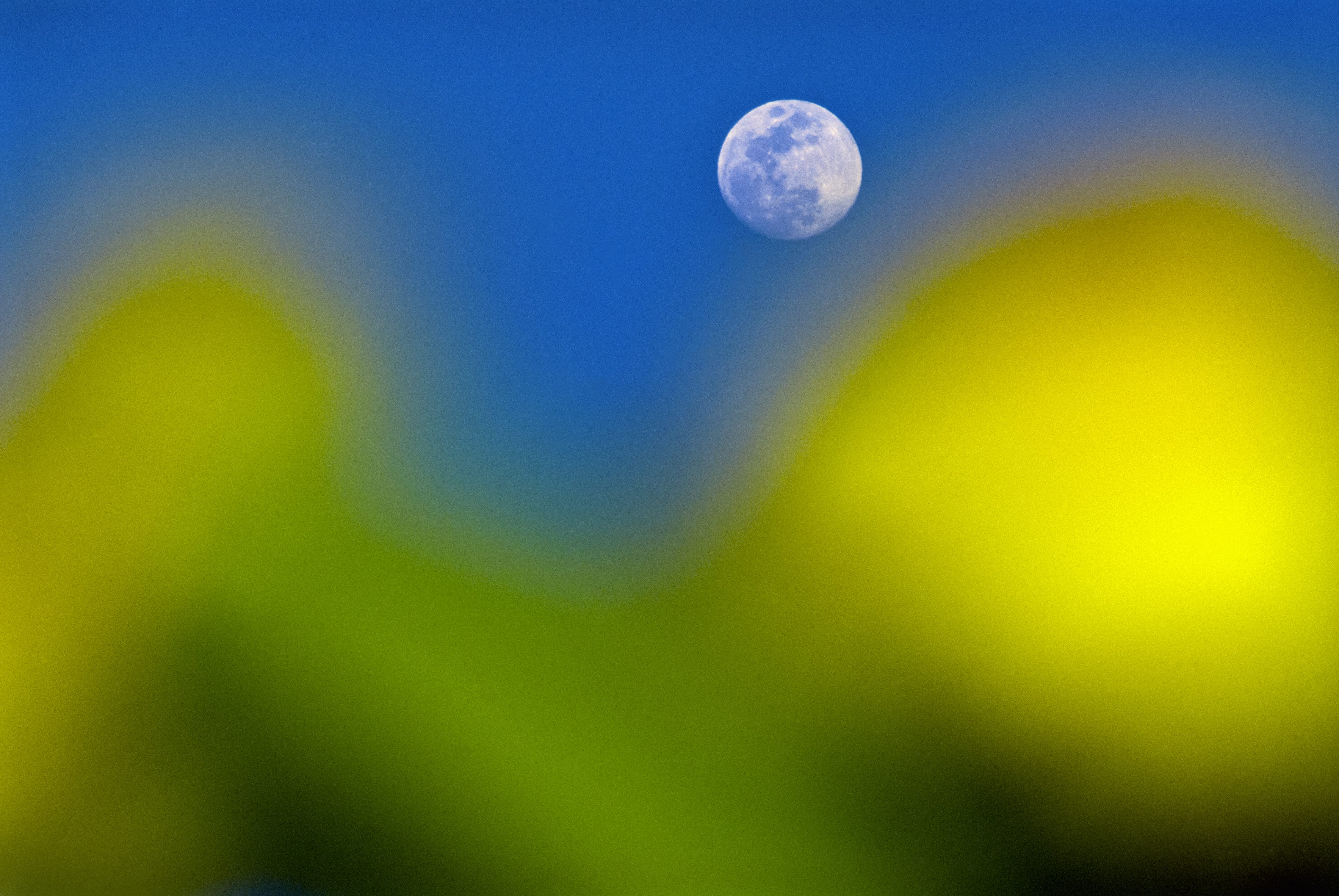 full moon, beauty in nature, sky, desenfoque selectivo, scenics - nature, 4K, pinas, moon, astrology, blue, flores, exploration, orbiting, ecuador, no people, HD Wallpaper