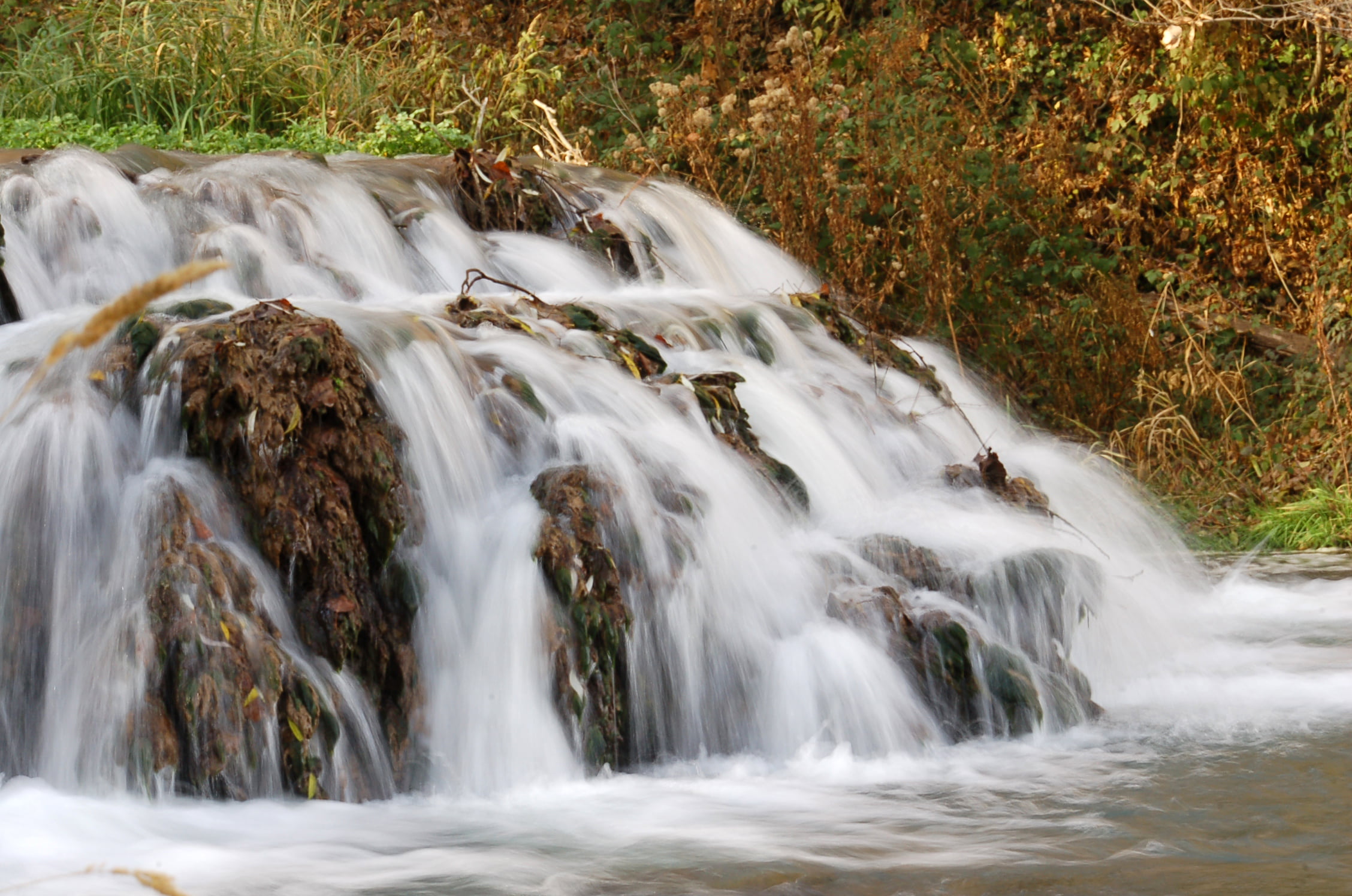 falling, outdoors, landscape, flowing Water, stream, 1080P, DSC, brown, nature, freshness, photo, agua, forest, tree, near, autumn, tropical Rainforest, HD Wallpaper