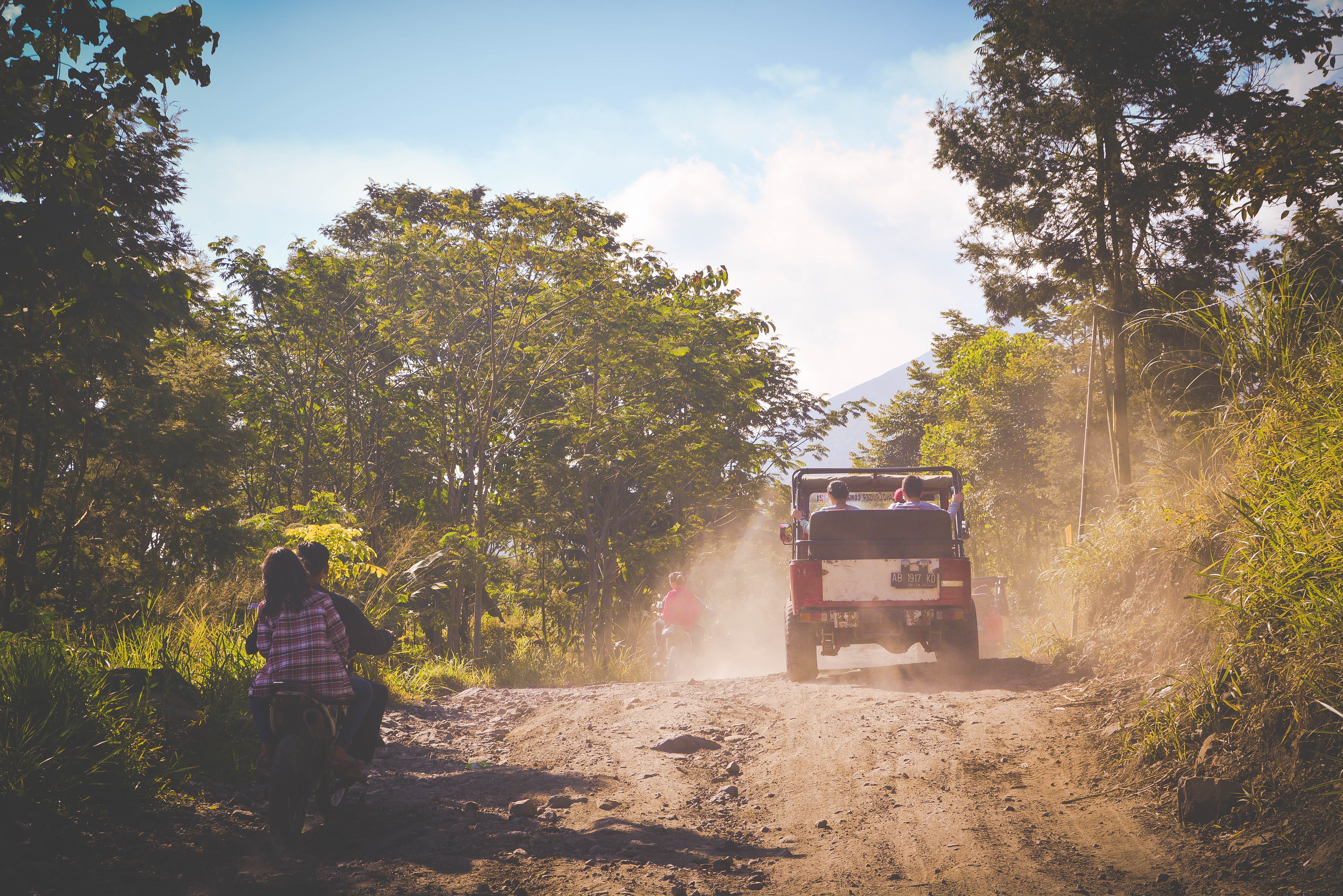 road, jeep, forest, rear view, occupation, sun, plant, growth, land, adventure, sand, men, rough, vacation, landscape, sky, trees, people, one person, mount merapi, HD Wallpaper