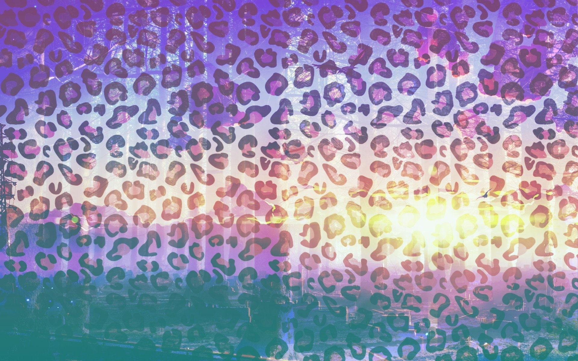 Colourfull, leopard, 1080P, HD Wallpaper