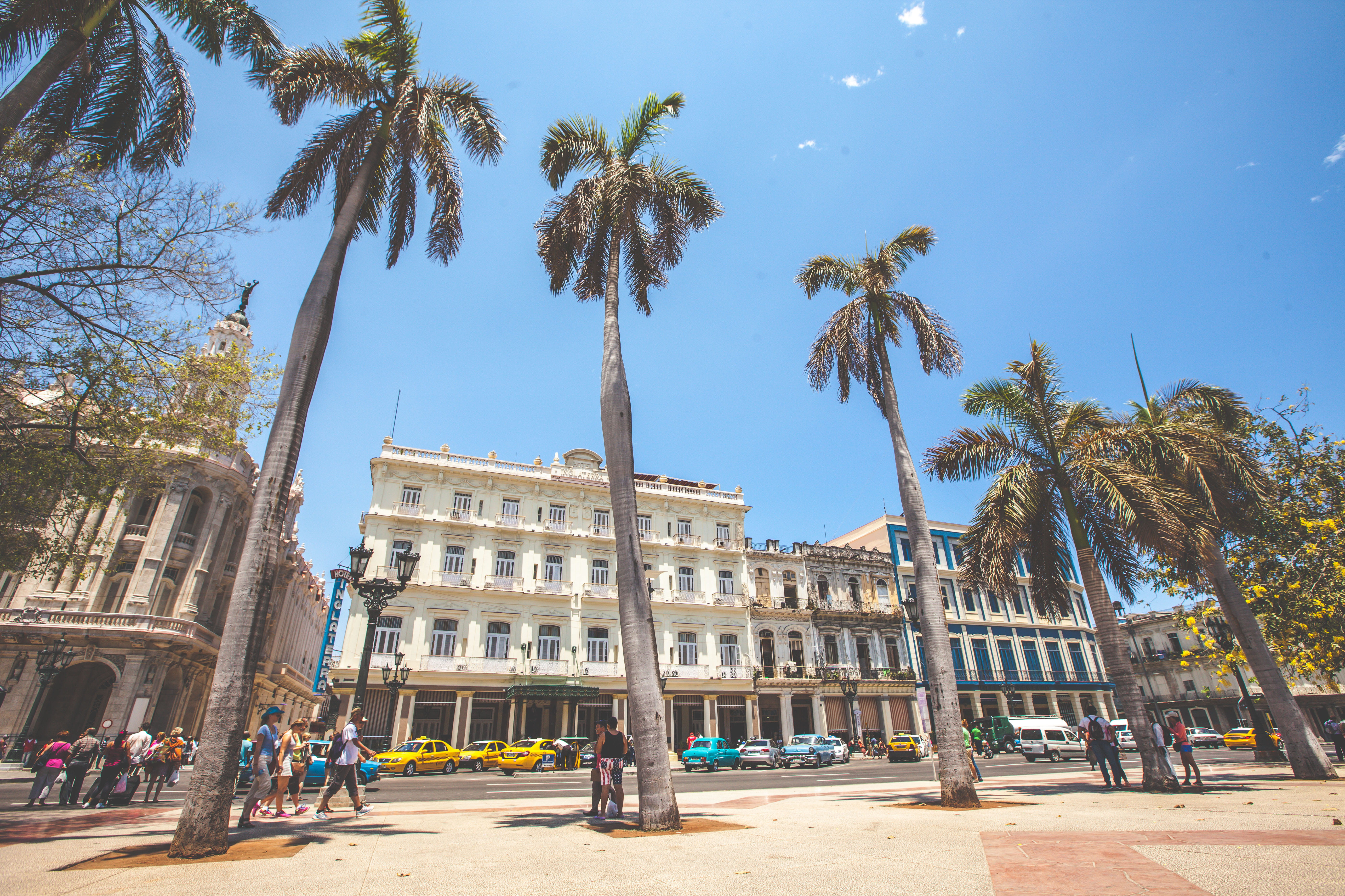 blue sky, sky, tree, trip, the past, plant, travel destinations, building exterior, palmtrees, travel, city life, cuba, sunny, tourism, tropical climate, HD Wallpaper