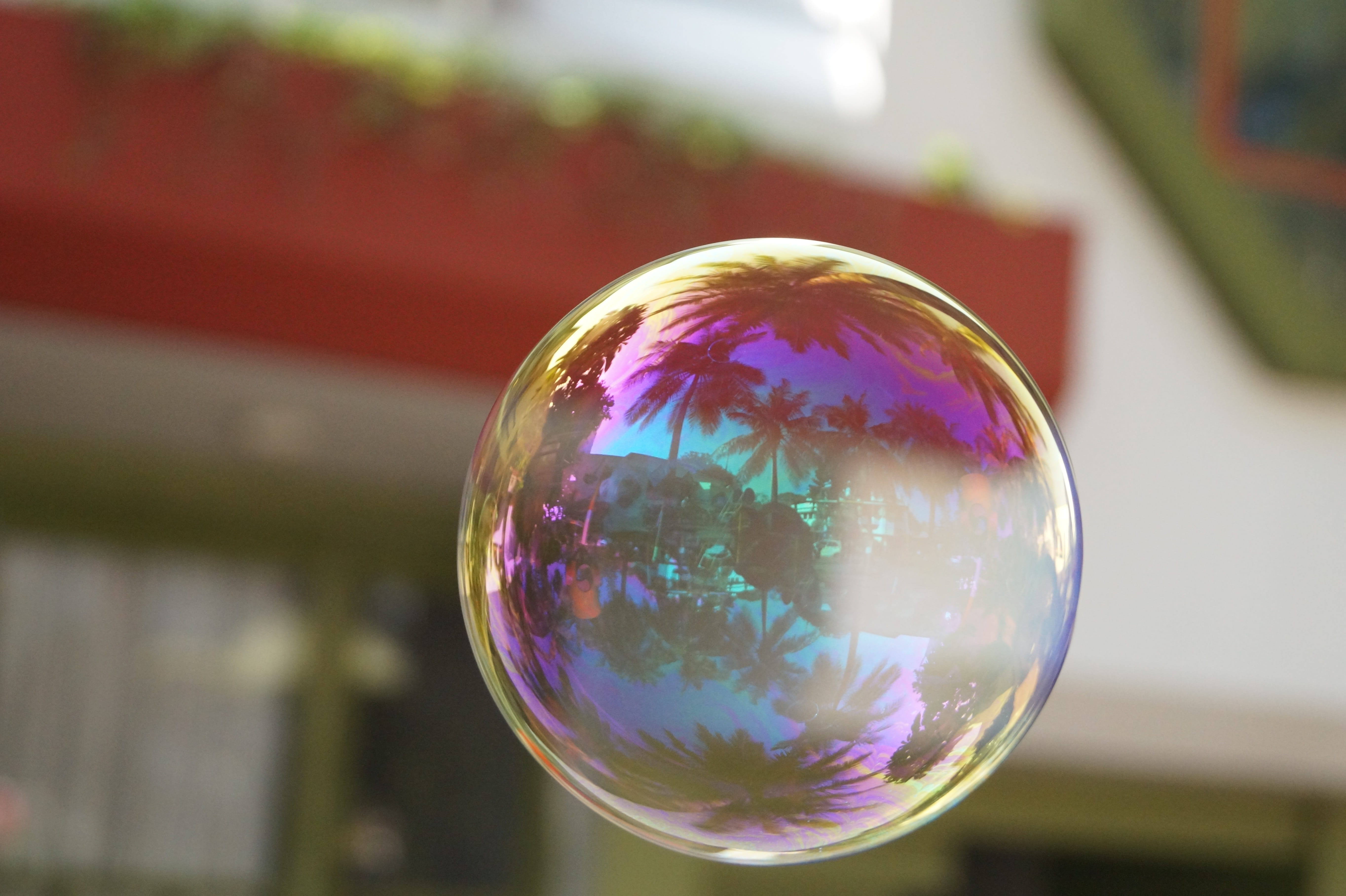 transparent, single object, reflection, sphere, indoors, outdoors, circle, Ball, day, design, mid-air, multi colored, no people, shape, 5K, bubble, soap, HD Wallpaper