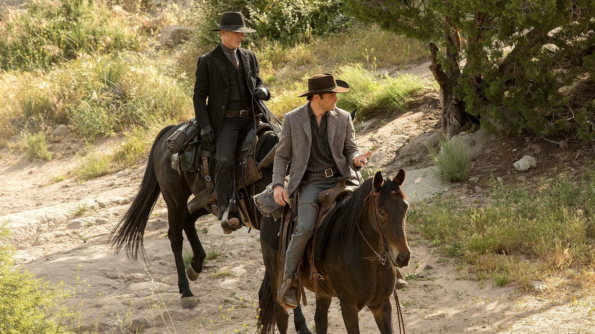 1080P, Westworld, TV Show, HD Wallpaper
