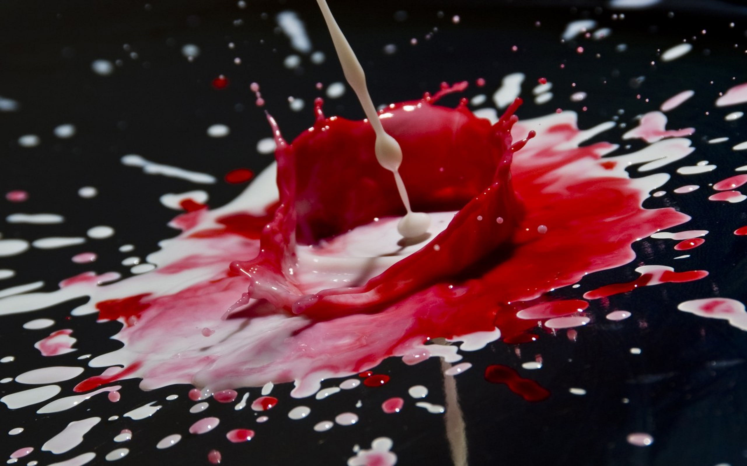 colors, red, artistic, 2K, white, blending, HD Wallpaper