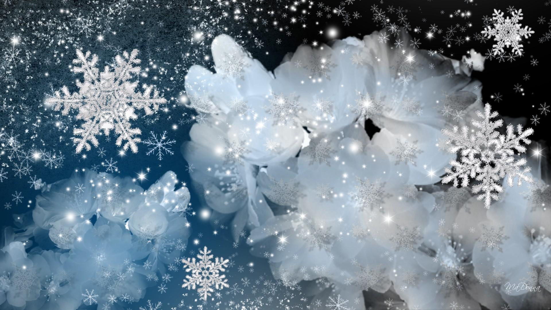 change, sakura, saku, apple blossoms, blossoms, 1080P, cherry blossoms, firefox persona, snowflakes, spring, seasons, flowers, HD Wallpaper