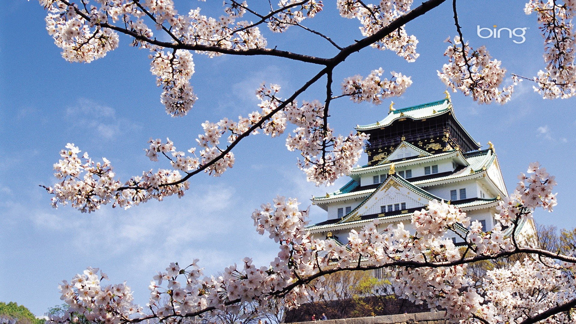 landscapes, nature, spring, temple, 1080P, flowers, blossoms, cherry, oriental, HD Wallpaper