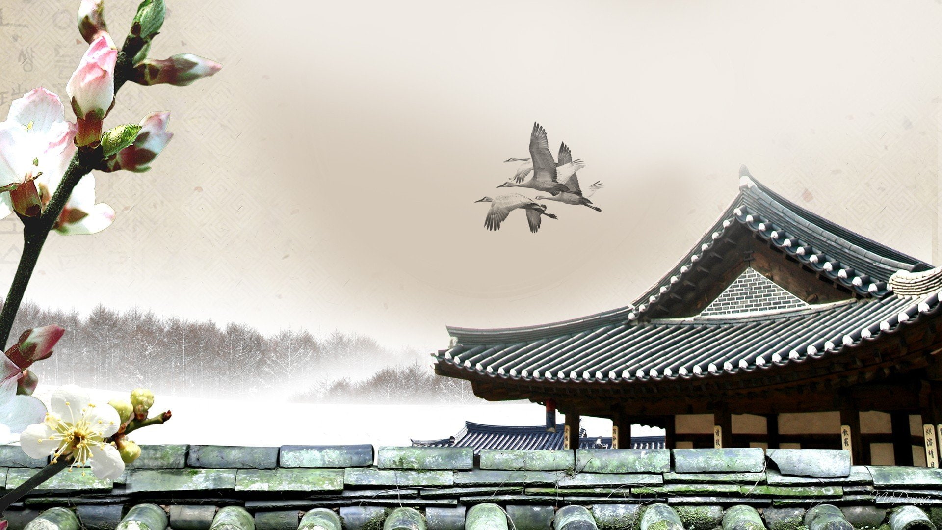pagodas, 1080P, cherry, fog, mist, oriental, blossoms, pagoda, HD Wallpaper