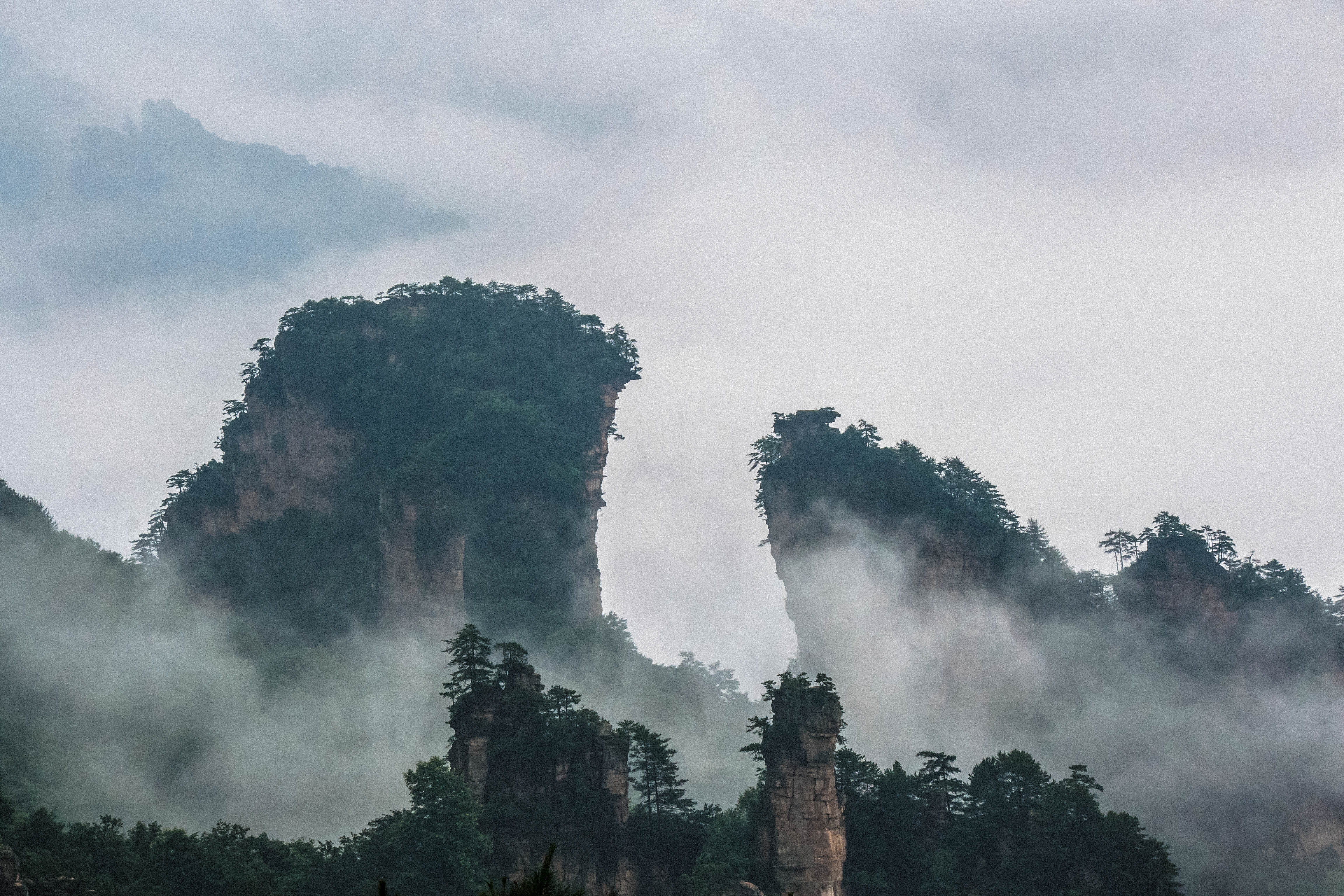 foggy, sky, beauty in nature, cloud - sky, jungle, mist, cliff, wanderlust, ridge, plant, fogs, misty, tranquil scene, landscape, mountains, explore, fog, HD Wallpaper