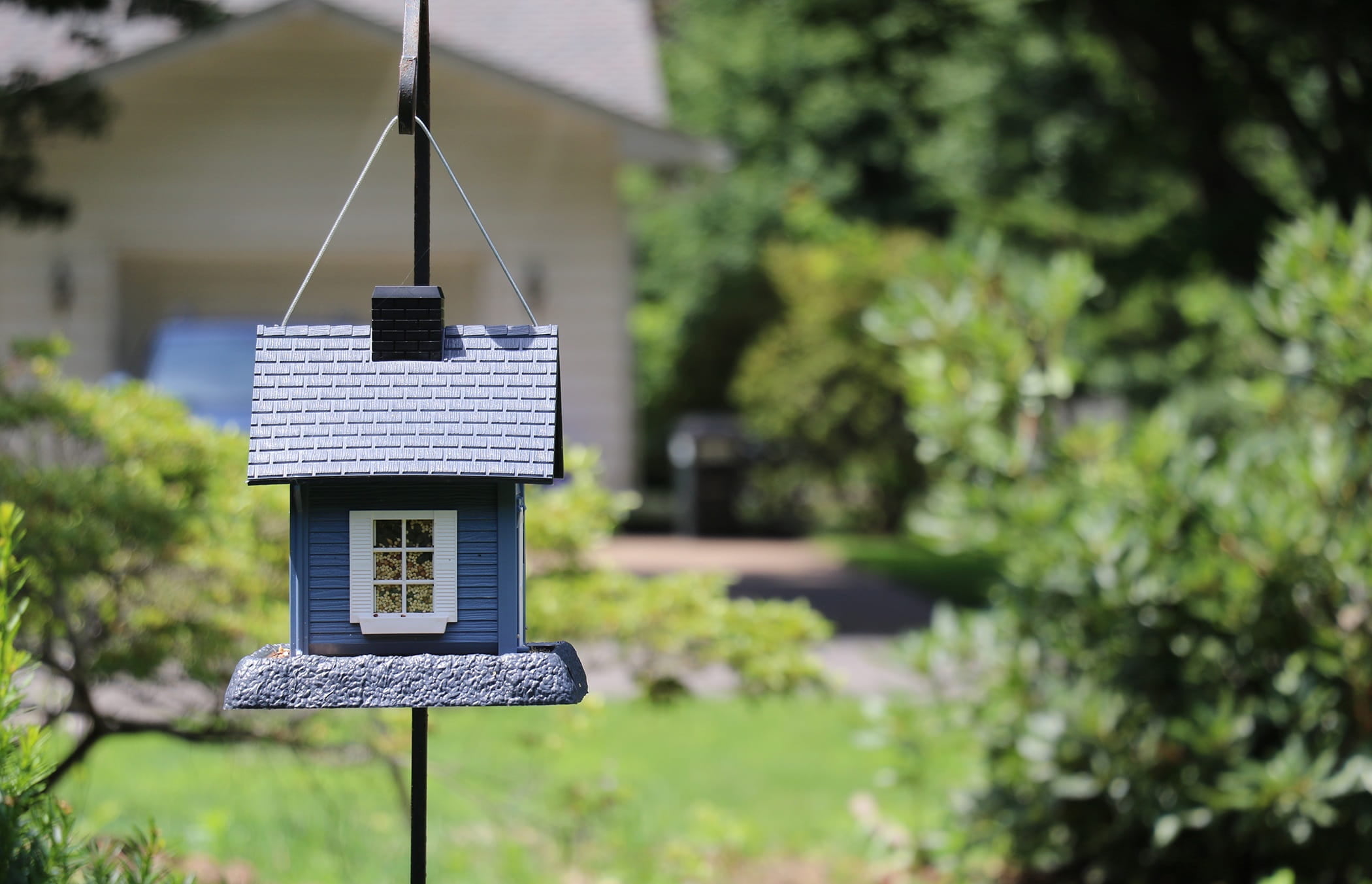 bird house, 1080P, nature, solar panel, land, photography, sunlight, hanging, building, focus, front or back yard, small, outdoors, green color, building exterior, HD Wallpaper