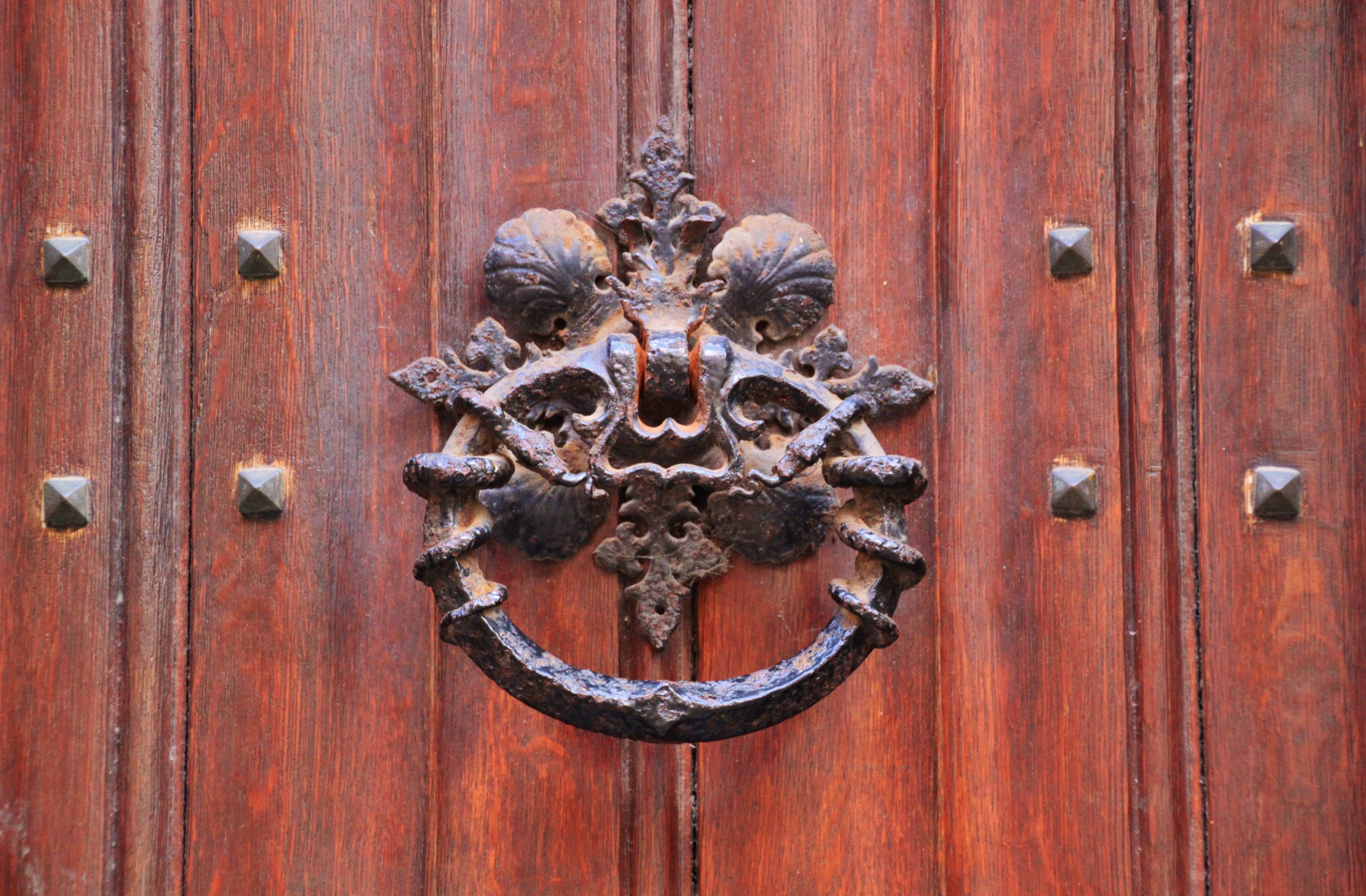 old, door lock, nails, rivet, grain, fitting, deco, lever, front door, 4K, bronze, door hardware, protection, entrance, wood grain, closed, lion - feline, HD Wallpaper