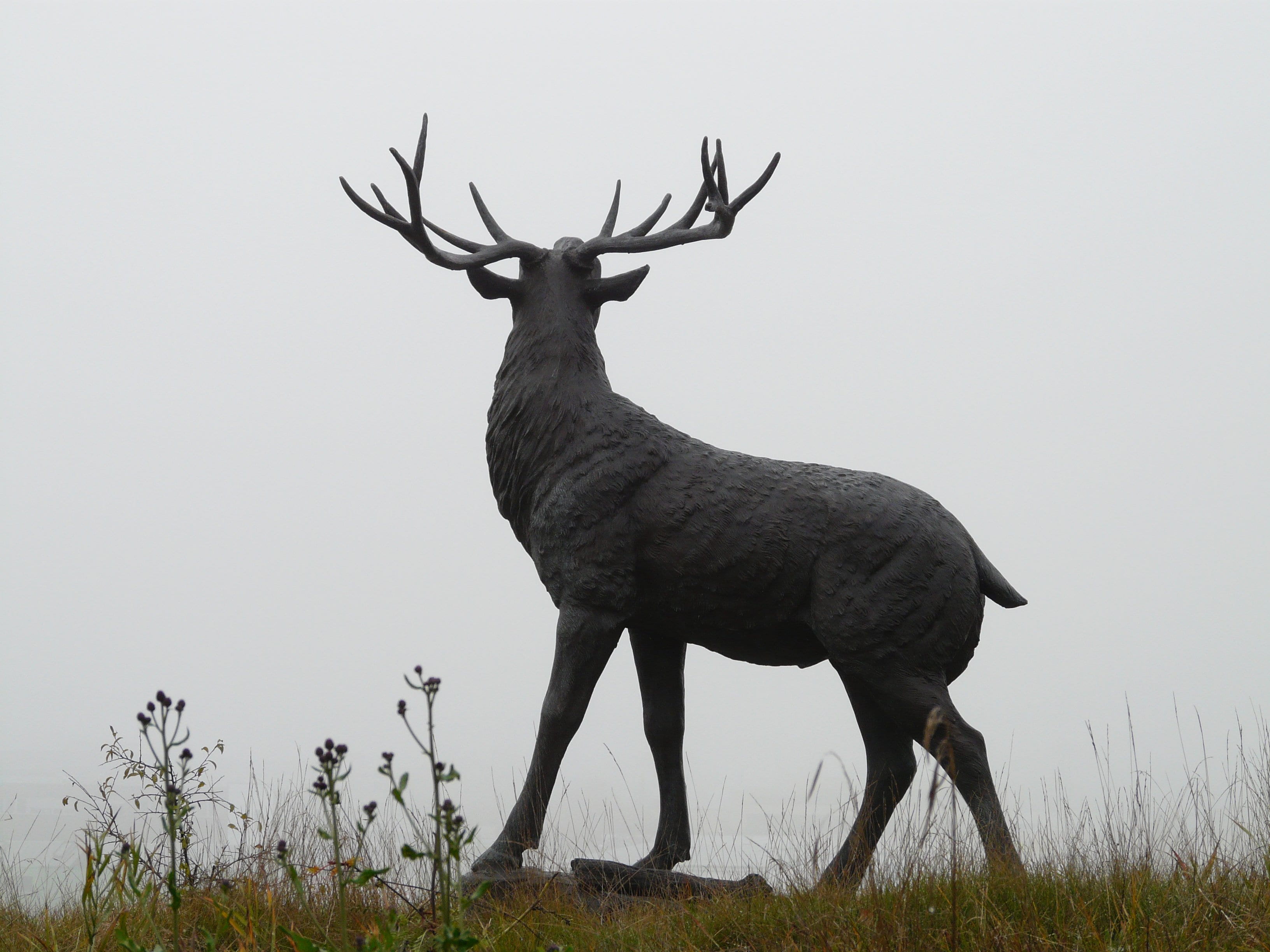mammal, animals in the wild, antler carrier, plant, 2K, bronze statue, fog, herbivorous, deer, nature, animal, cast iron, stands, red deer, day, paarhufer, HD Wallpaper