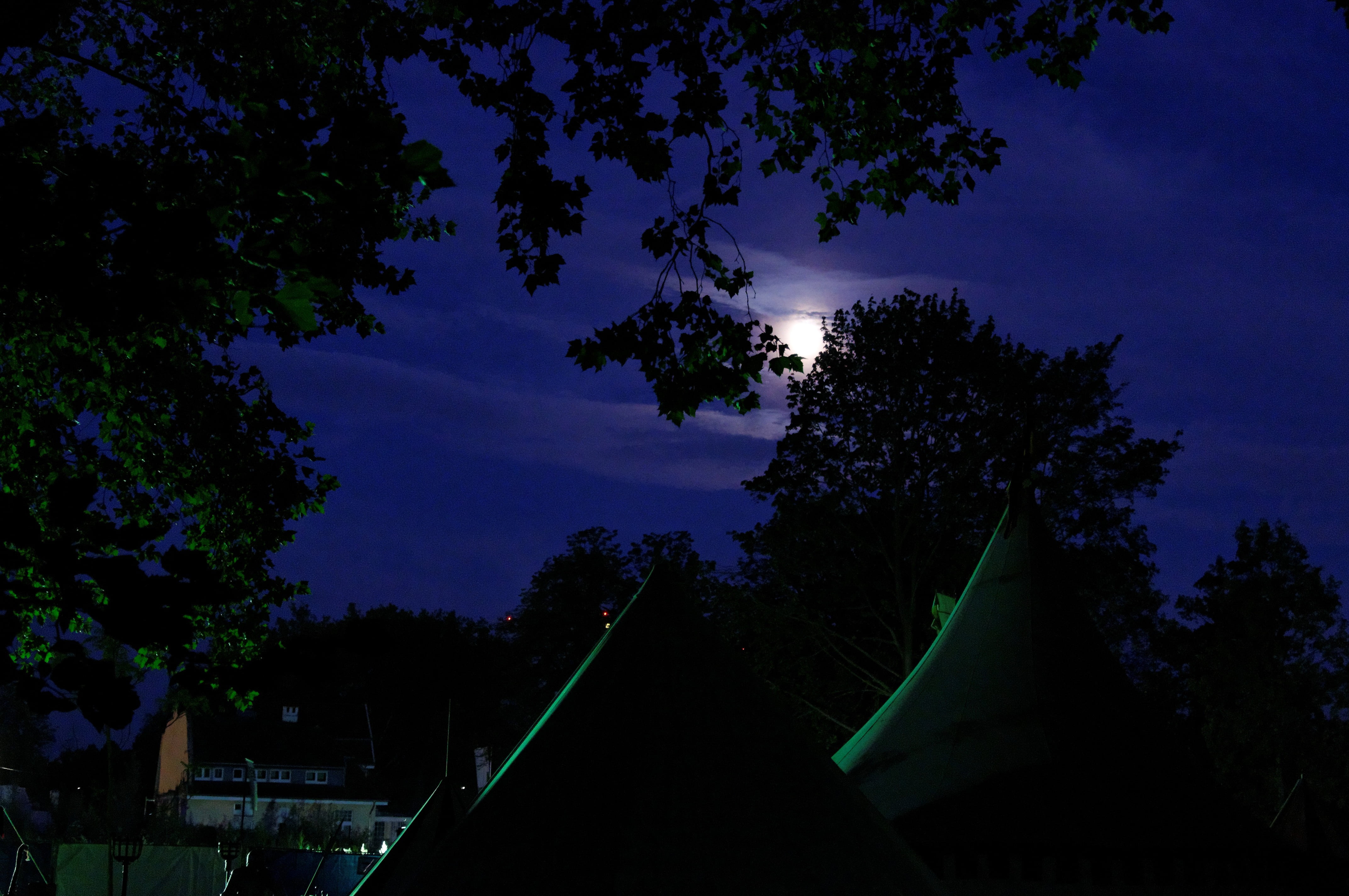 tent, outdoors, dark, built structure, dusk, medieval market, architecture, tree, triangle shape, sky, scenics - nature, cloud - sky, at night, trees, silhouette, HD Wallpaper