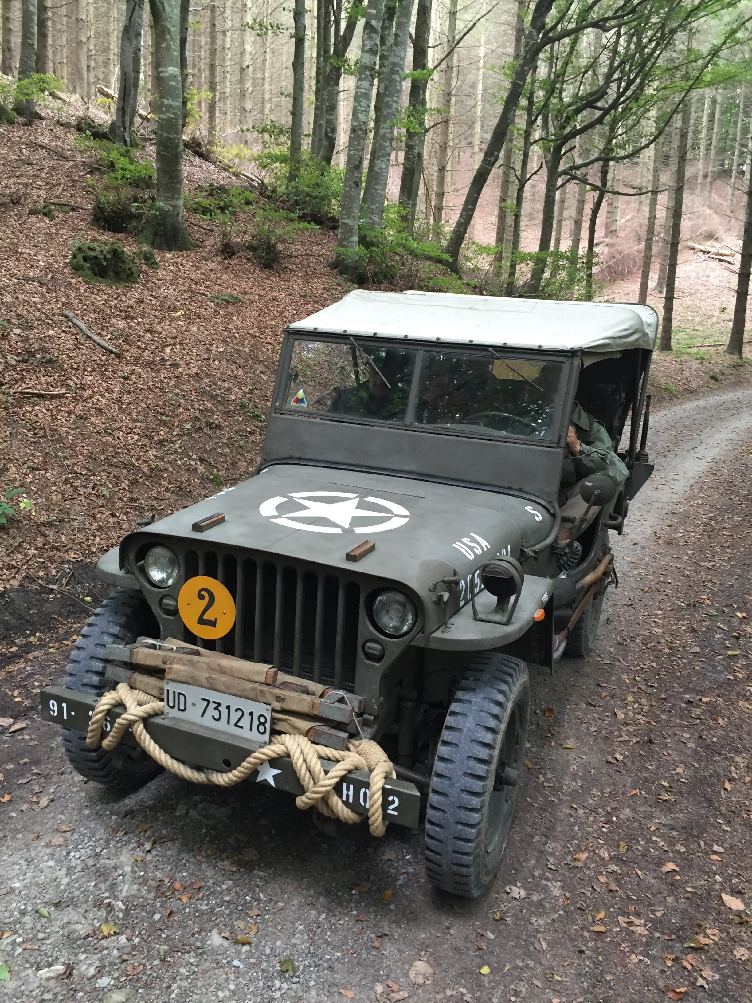 vehicles, Reenactment, outdoors, no people, Military Vehicles, trunk, mode of transportation, day, forest, nature, field, old, tree trunk, land vehicle, Phone HD Wallpaper