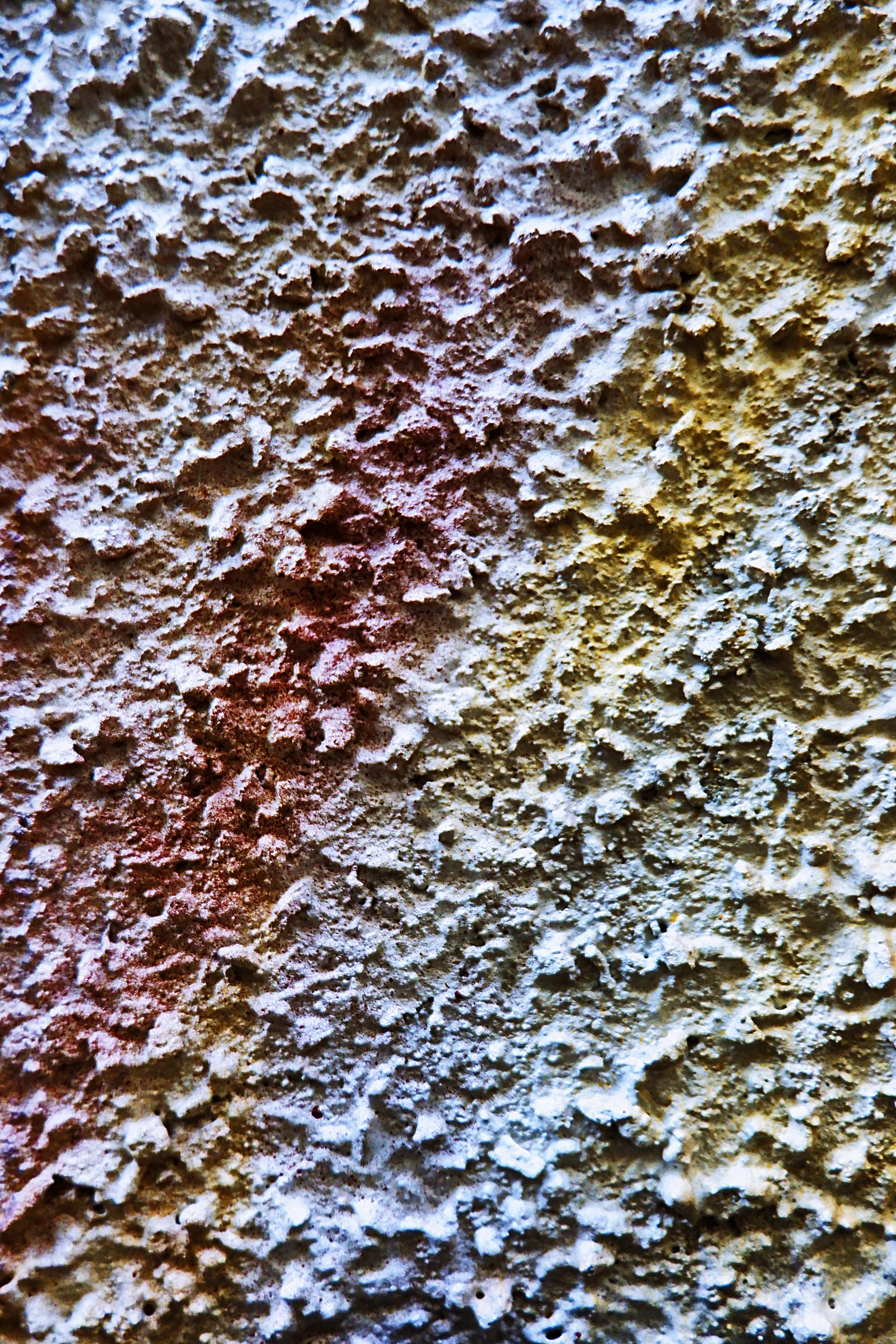 plant, mold, scenery, ice, natural pattern, outdoors, tree, sand, rough, backgrounds, pattern, wall - building feature, trunk, moss, ground, mud, built structure, Phone HD Wallpaper